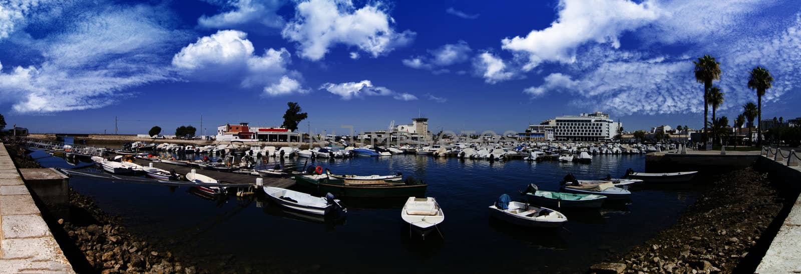 View of a marina in the city with many recreational boats.