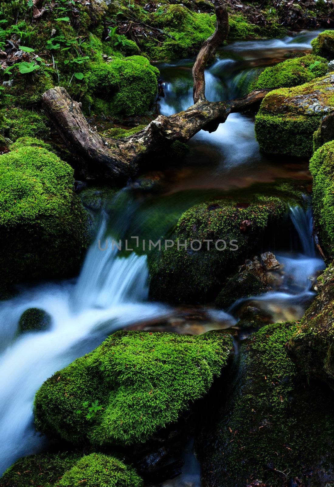 Water flowing over rocks by camerziga