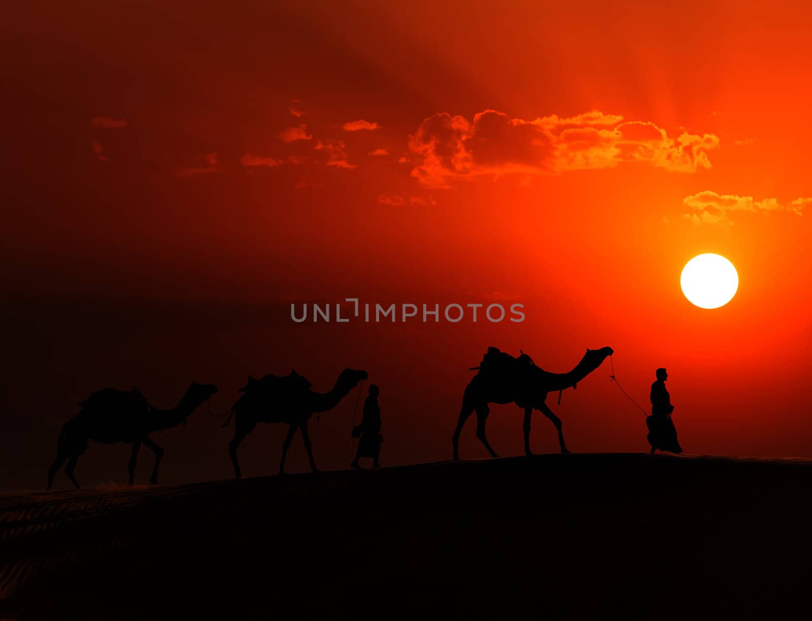 Rajasthan travel background - two indian cameleers (camel drivers) with camels silhouettes in dunes of Thar desert on sunset. Jaisalmer, Rajasthan, India