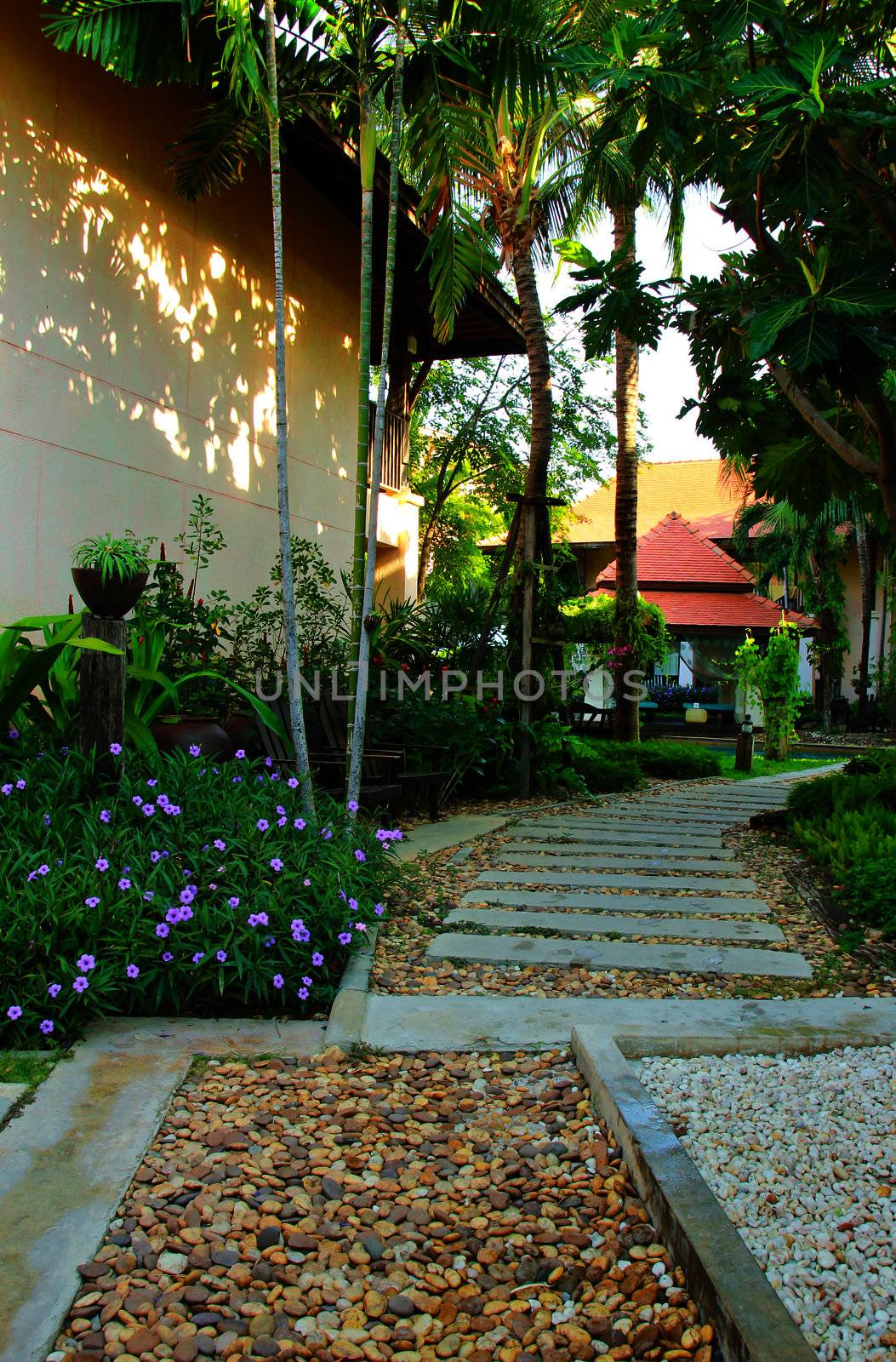 Stone pathway into tropical garden by nuchylee