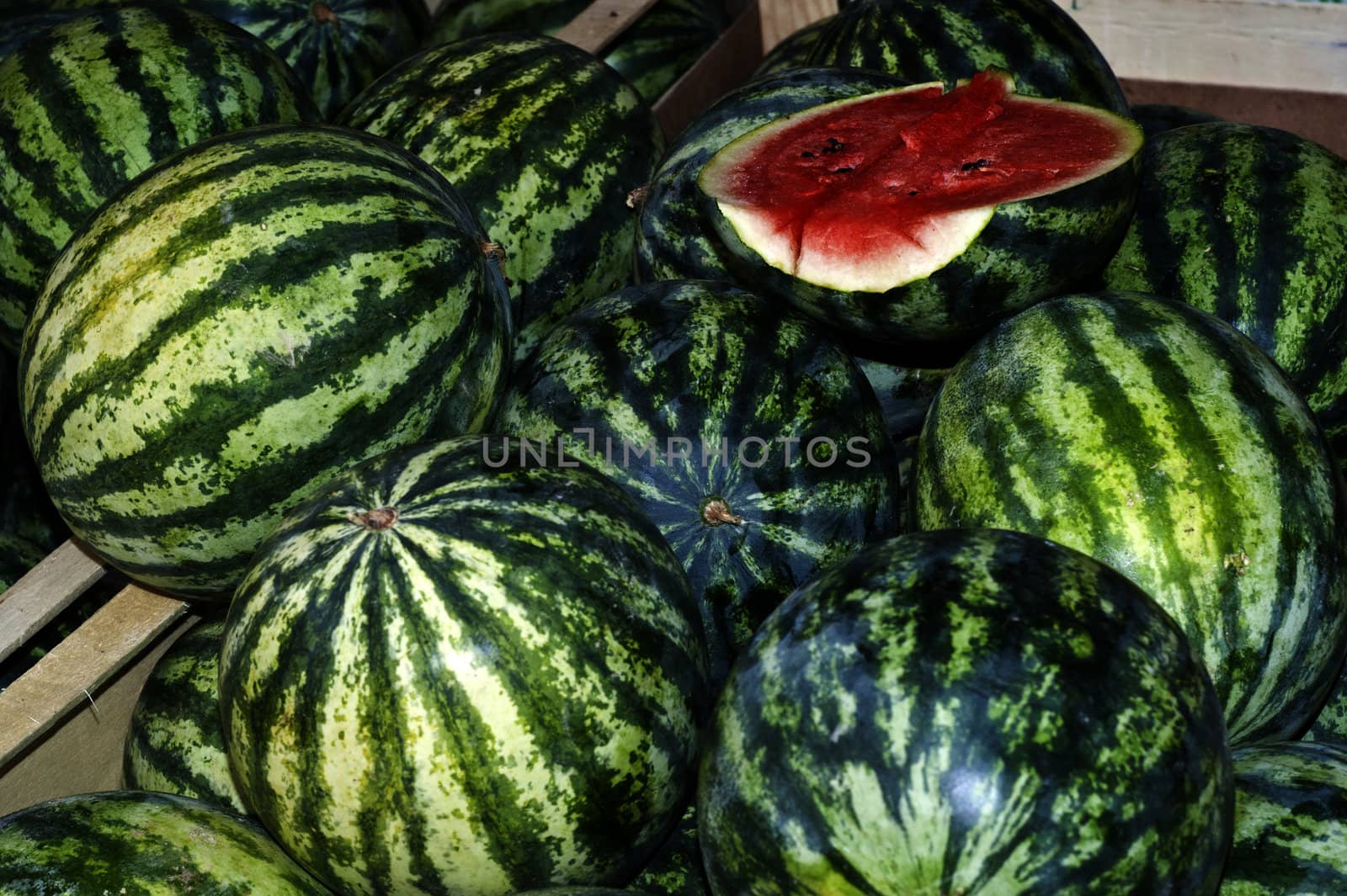 water melons  by gandolfocannatella