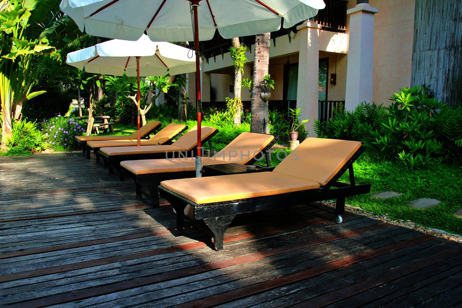 Beach chairs and umbrella side swimming pool