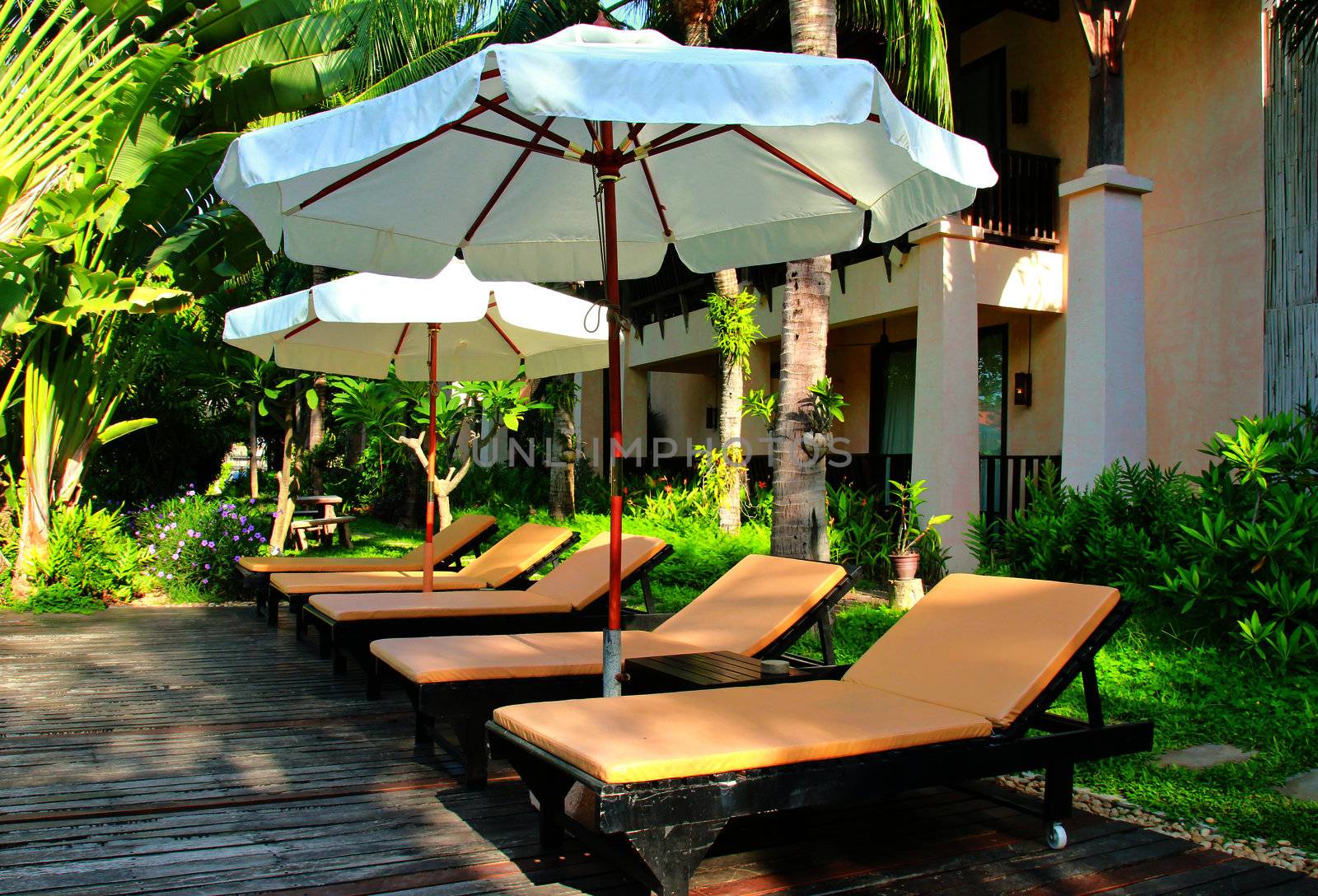 Beach chairs and umbrella side swimming pool