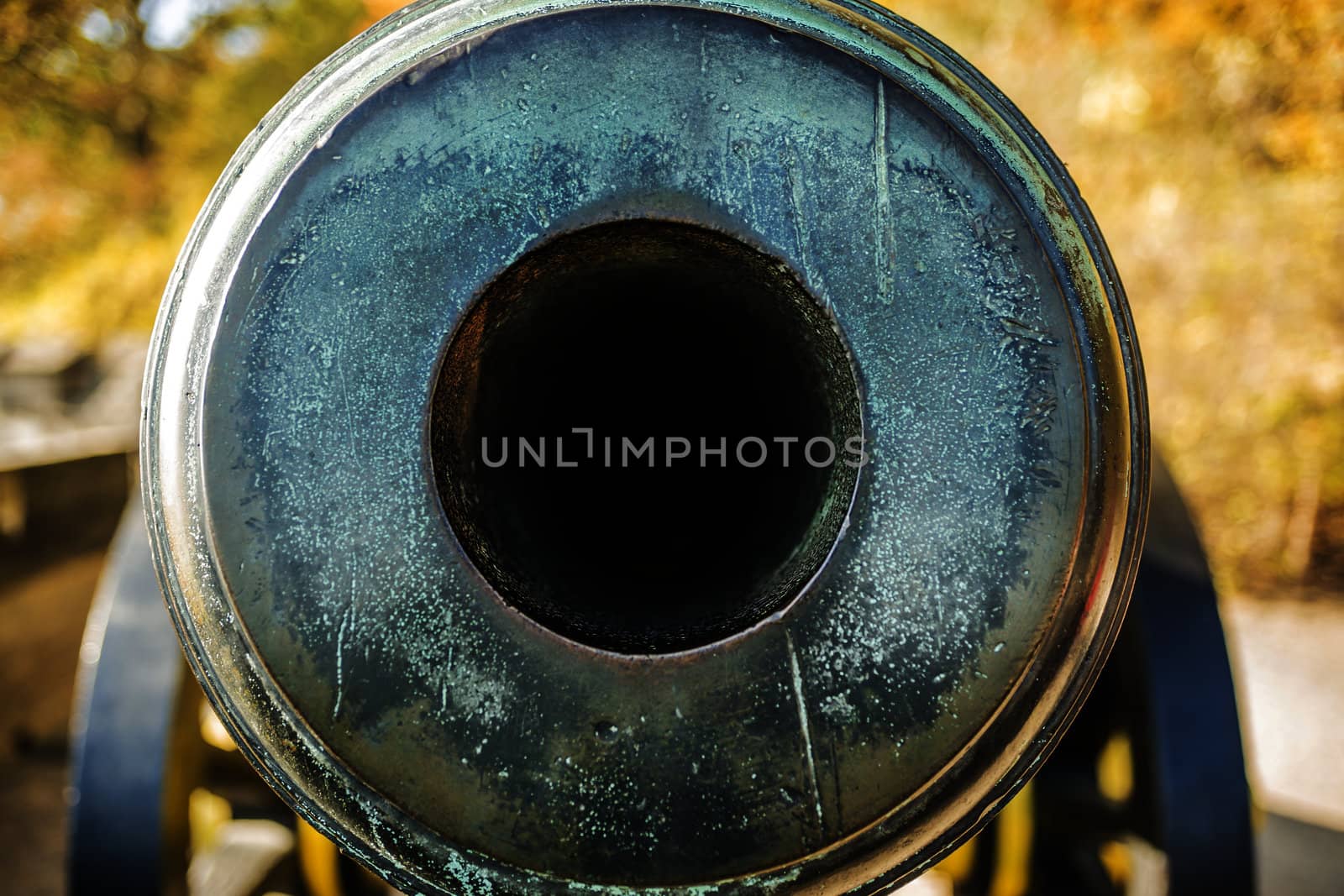 detail front view of a cannon tube