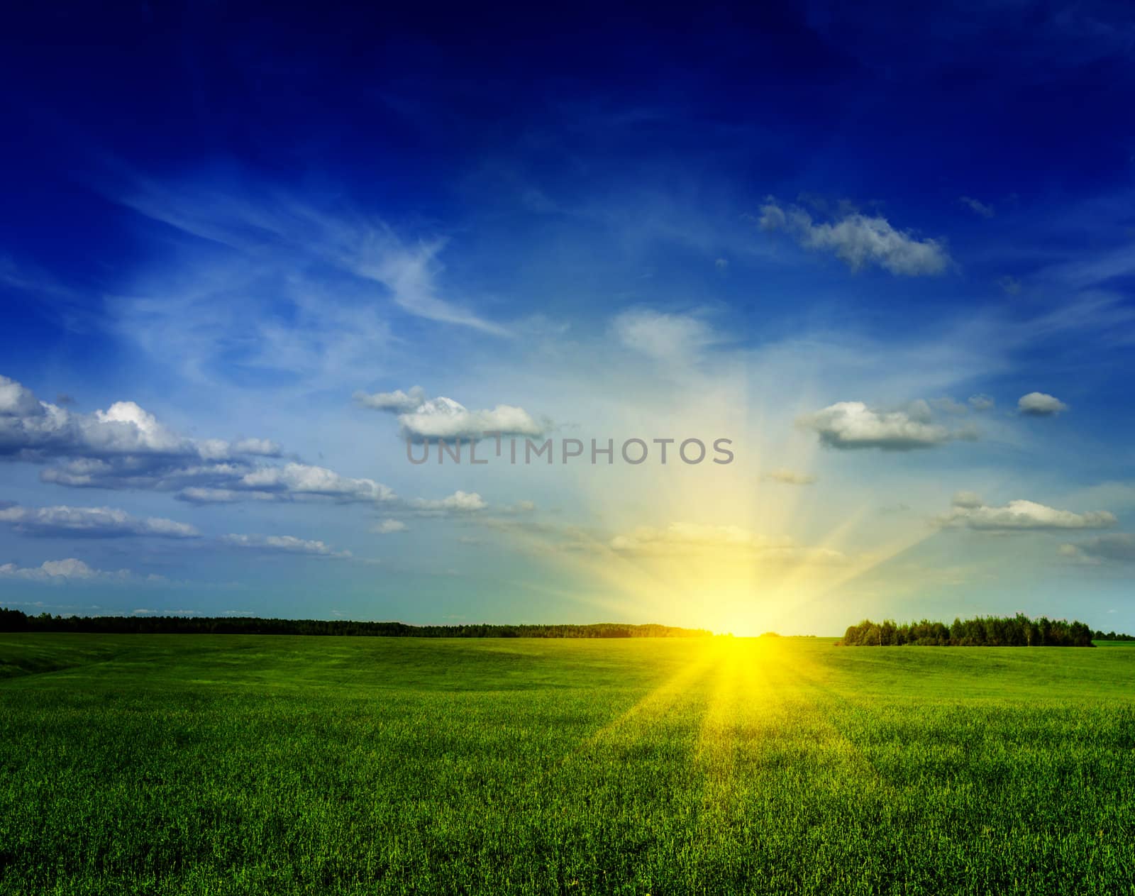 Spring summer background - green grass field meadow scenery lanscape with blue sky