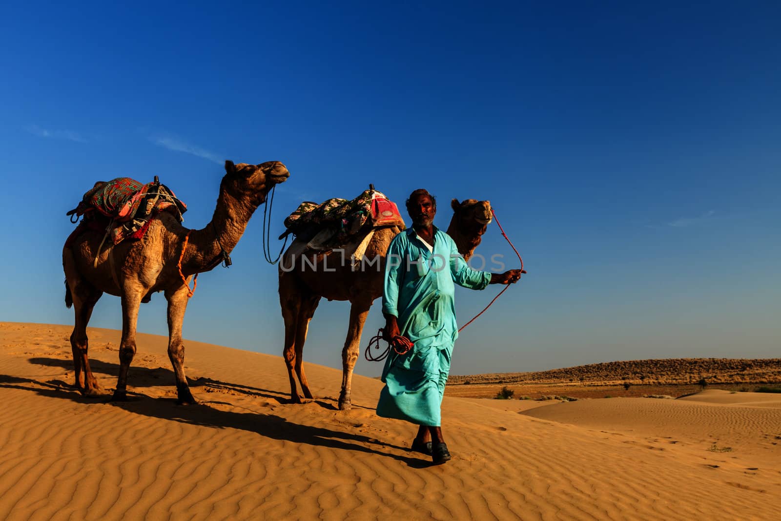 Rajasthan travel background - Indian cameleer (camel driver) with camels in dunes of Thar desert. Jaisalmer, Rajasthan, India