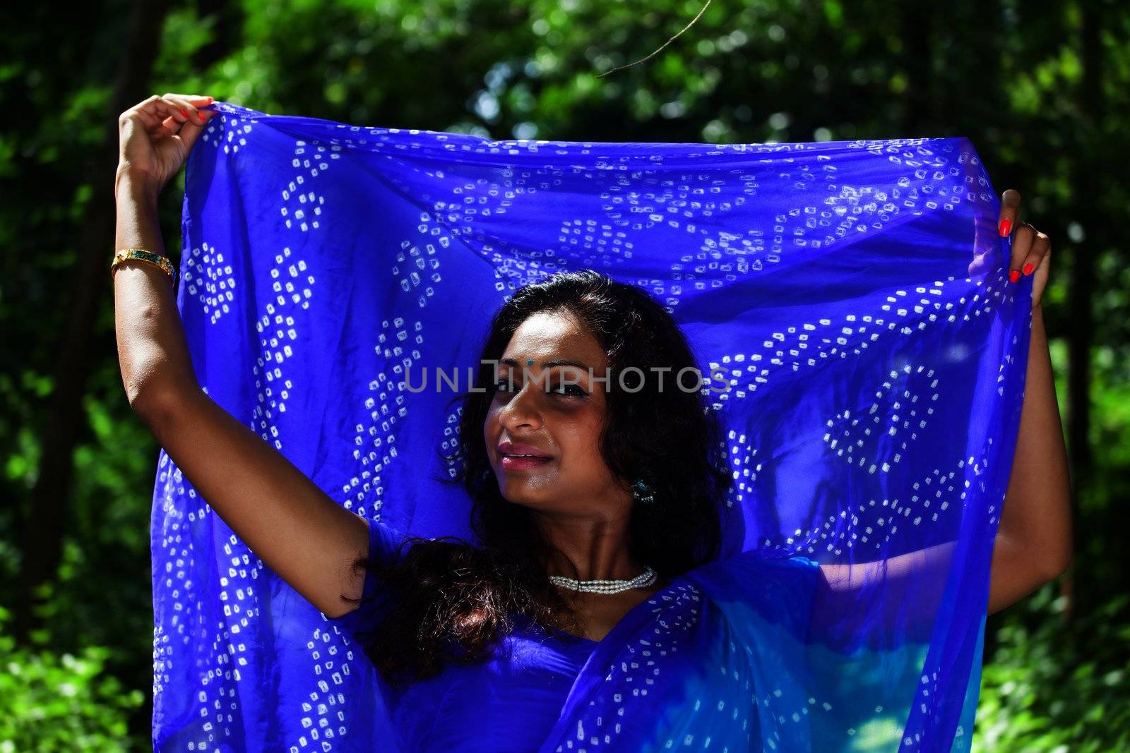 beautiful indian woman in a saree