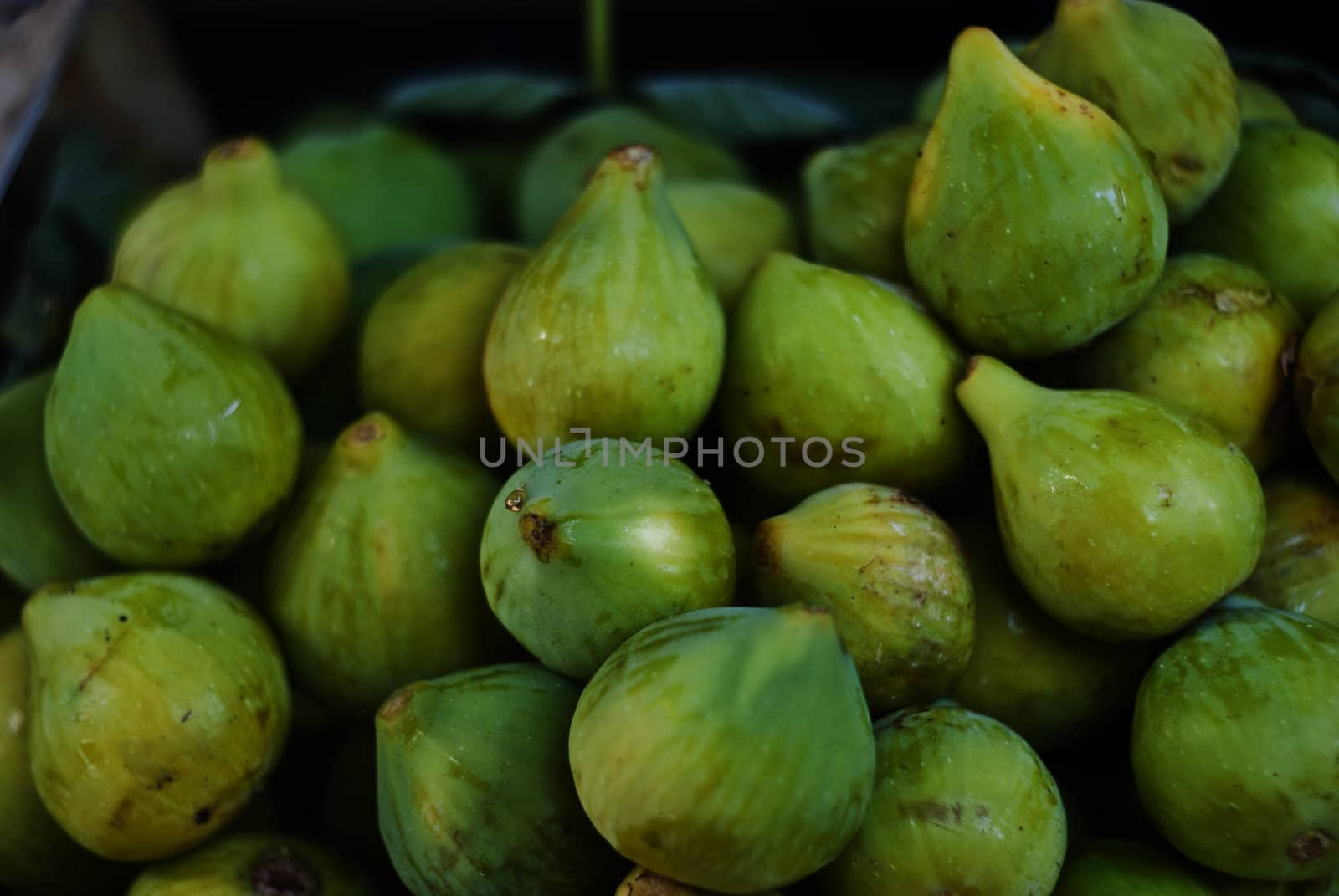 Fresh green figs. close-up