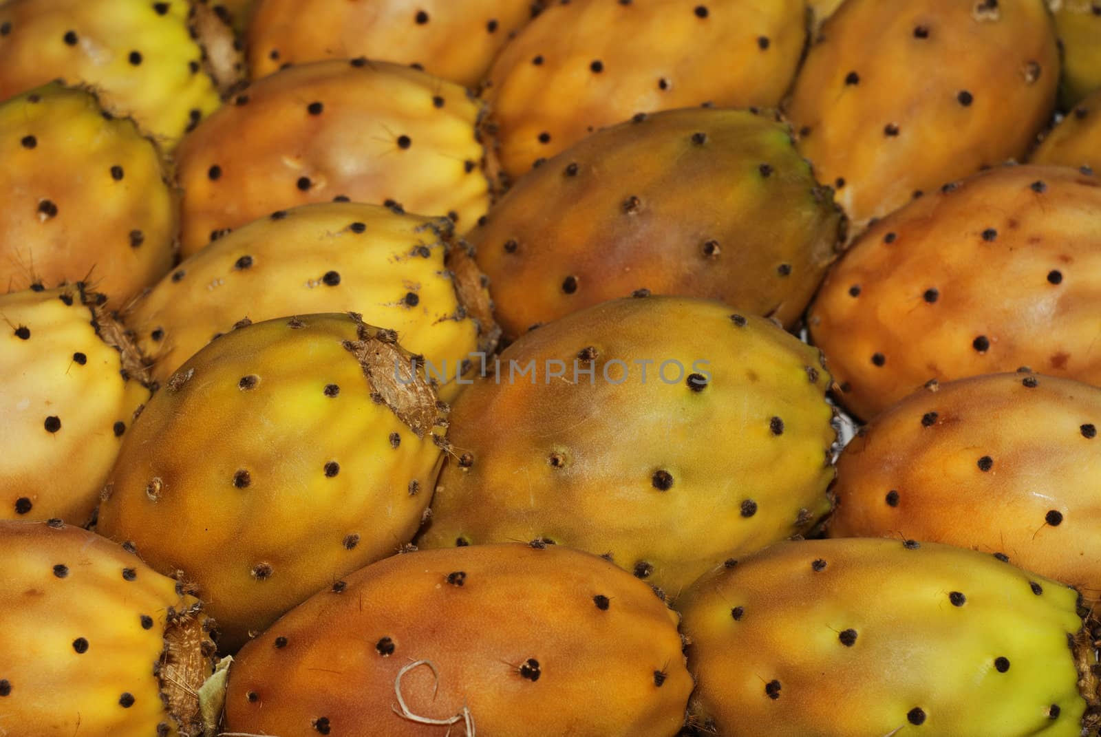 Cactus fruit, prickly pears in sicilian market