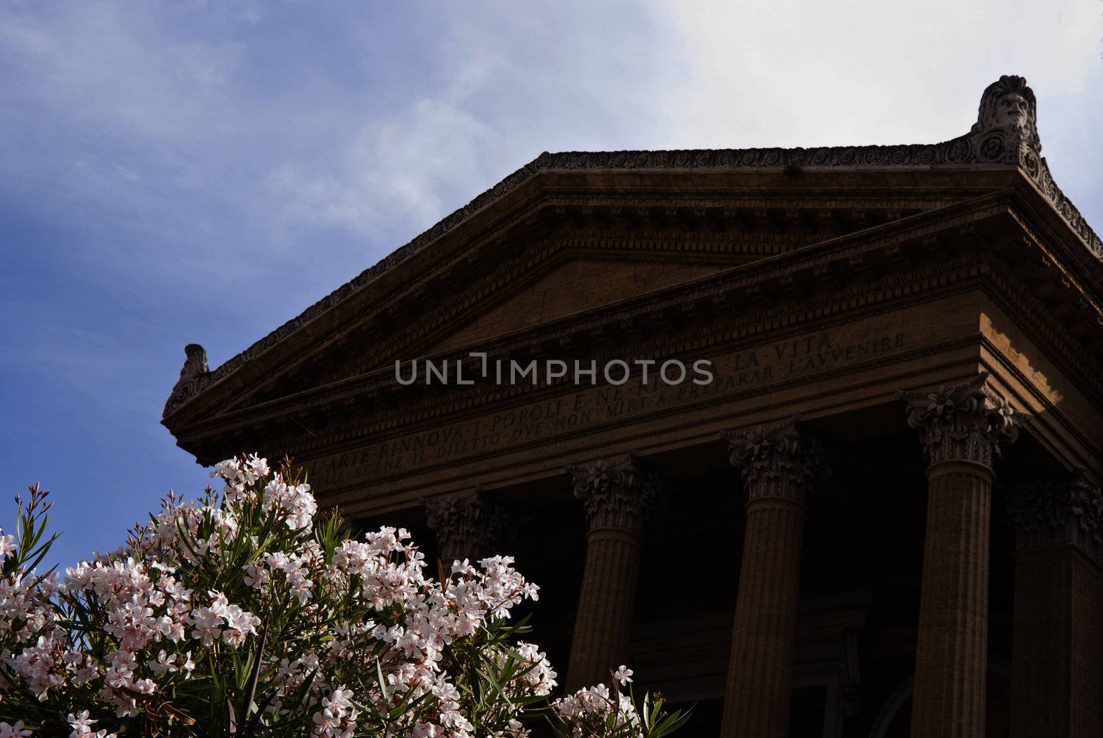 Teatro Massimo with flowers by gandolfocannatella