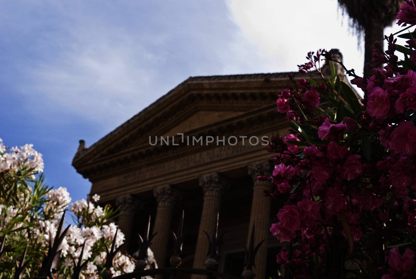 Teatro Massimo with flowers by gandolfocannatella