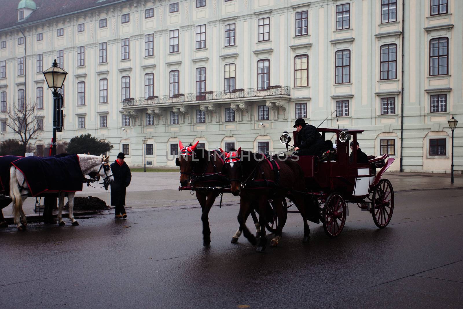 Carriage ridding on the streets of Vienna, Austia