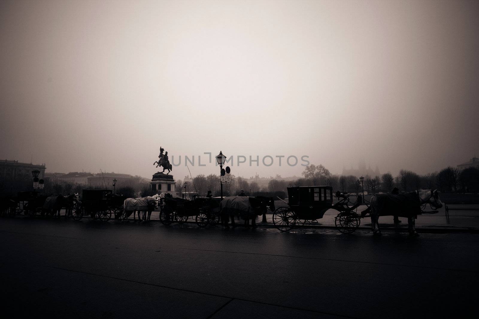 Carriage on the streets of Vienna, Austia