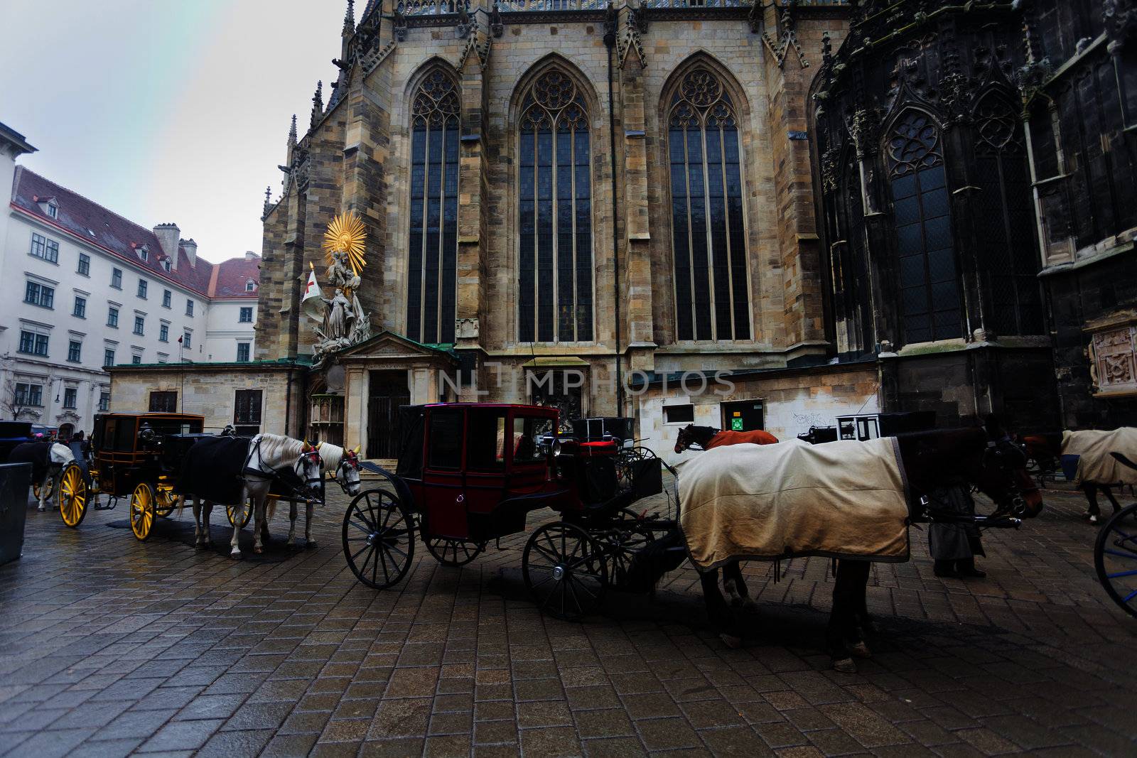 Traditional horse coach in front of Cathedral Saint Stefan, Vienna, Austria