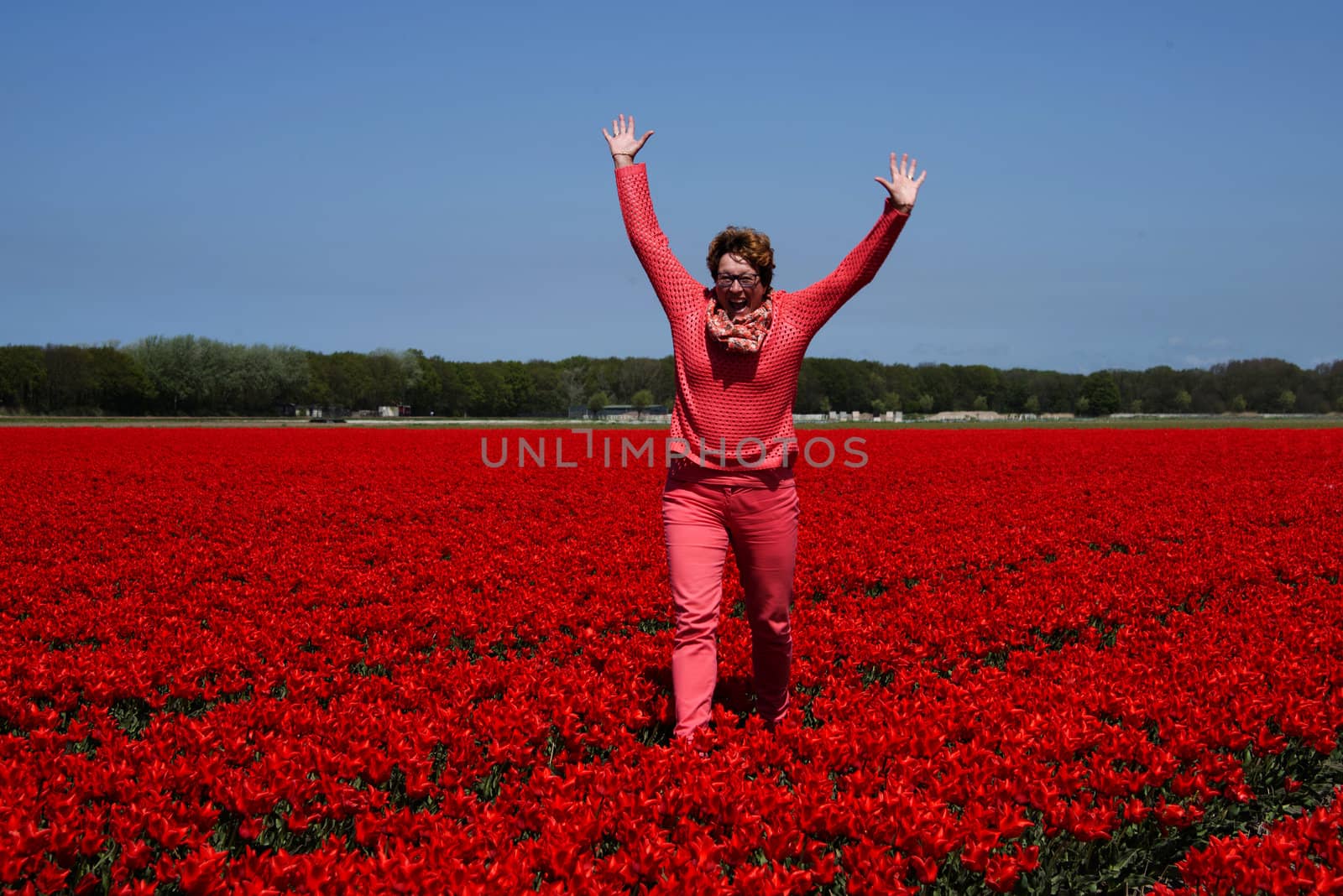 adult womanjumping  in red tulip field by compuinfoto