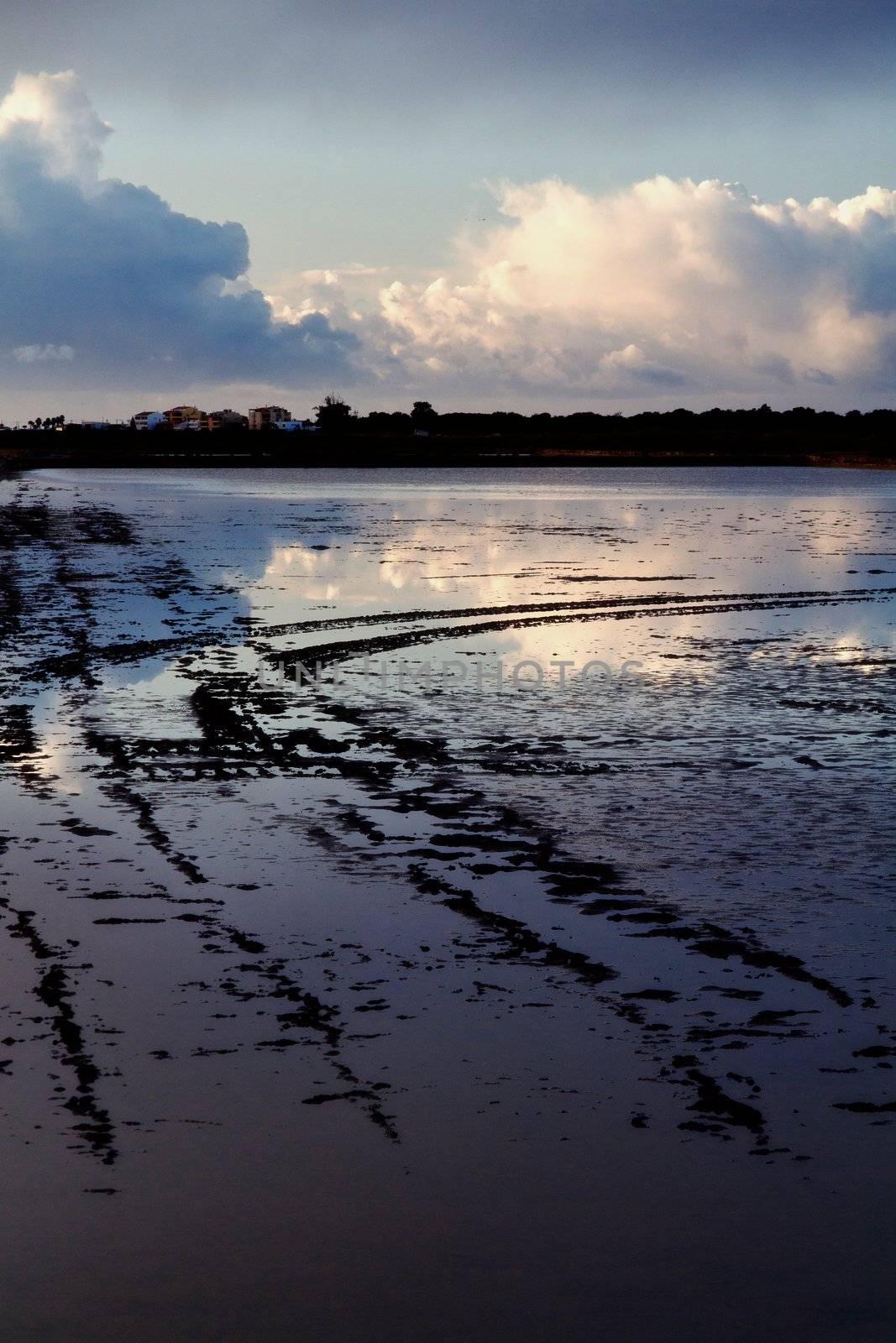 marshlands by membio