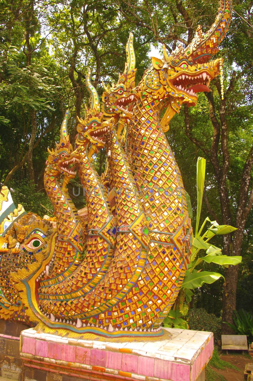 Dragons of the stairs leading to the temple by Duroc