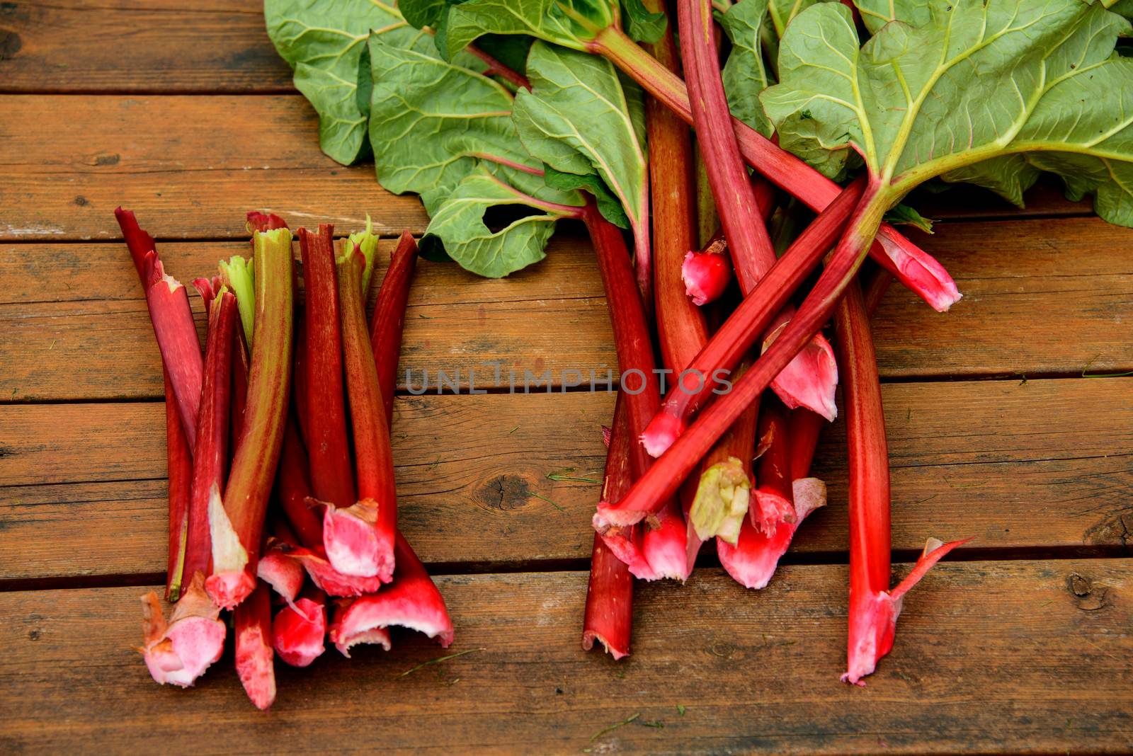 Removing leaves from rhubarb