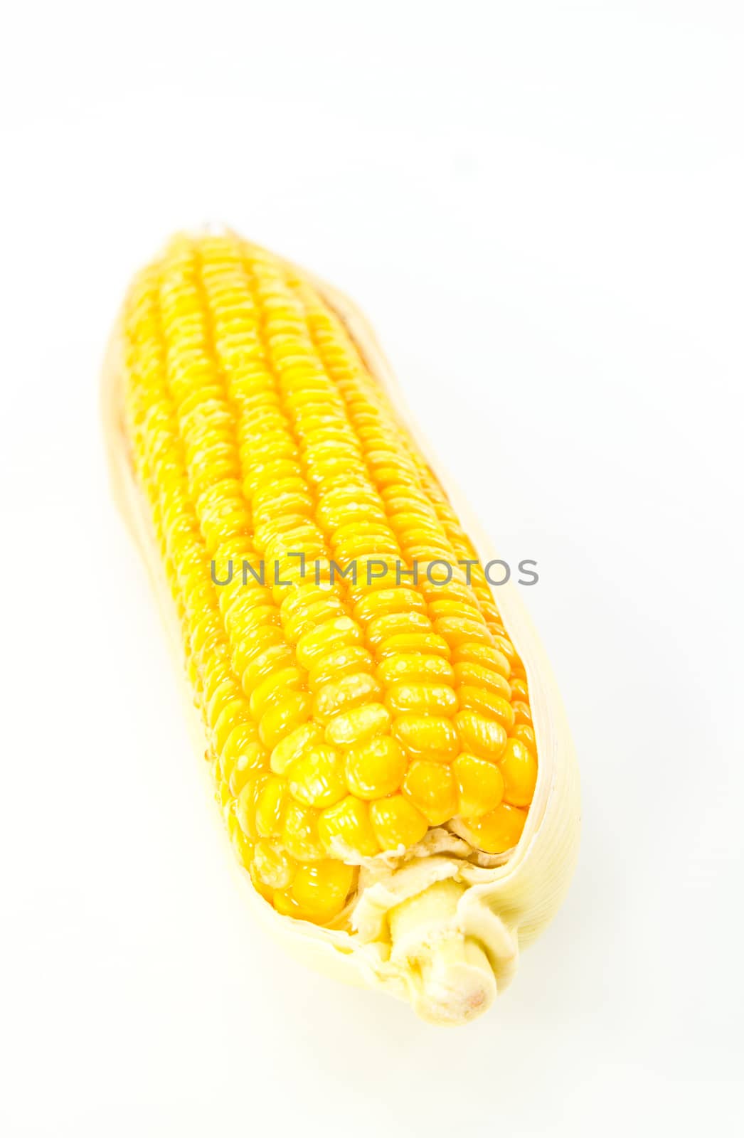 Fresh corn isolated on white background