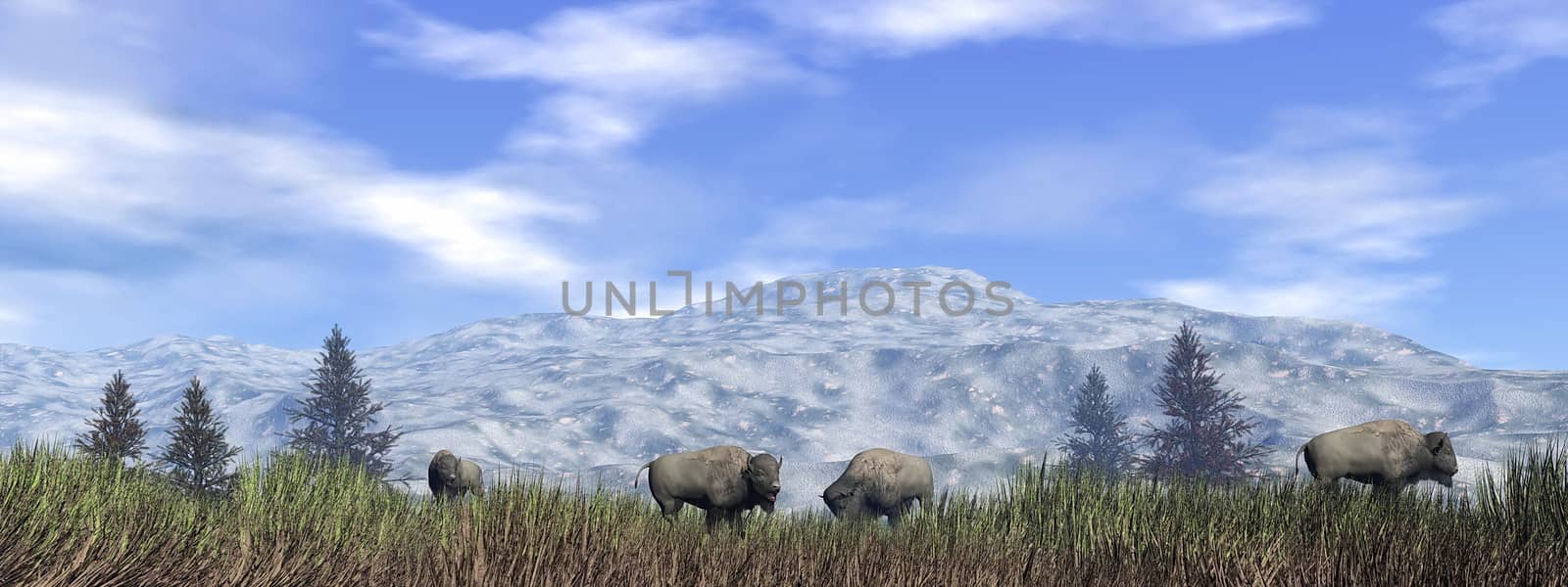 Herd of bisons in the green grass next to fir trees and in front of a mountain by cloudy day