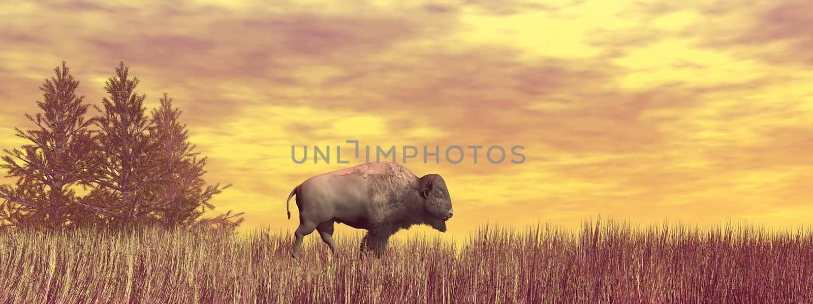 Bison walking ahead - 3D render by Elenaphotos21