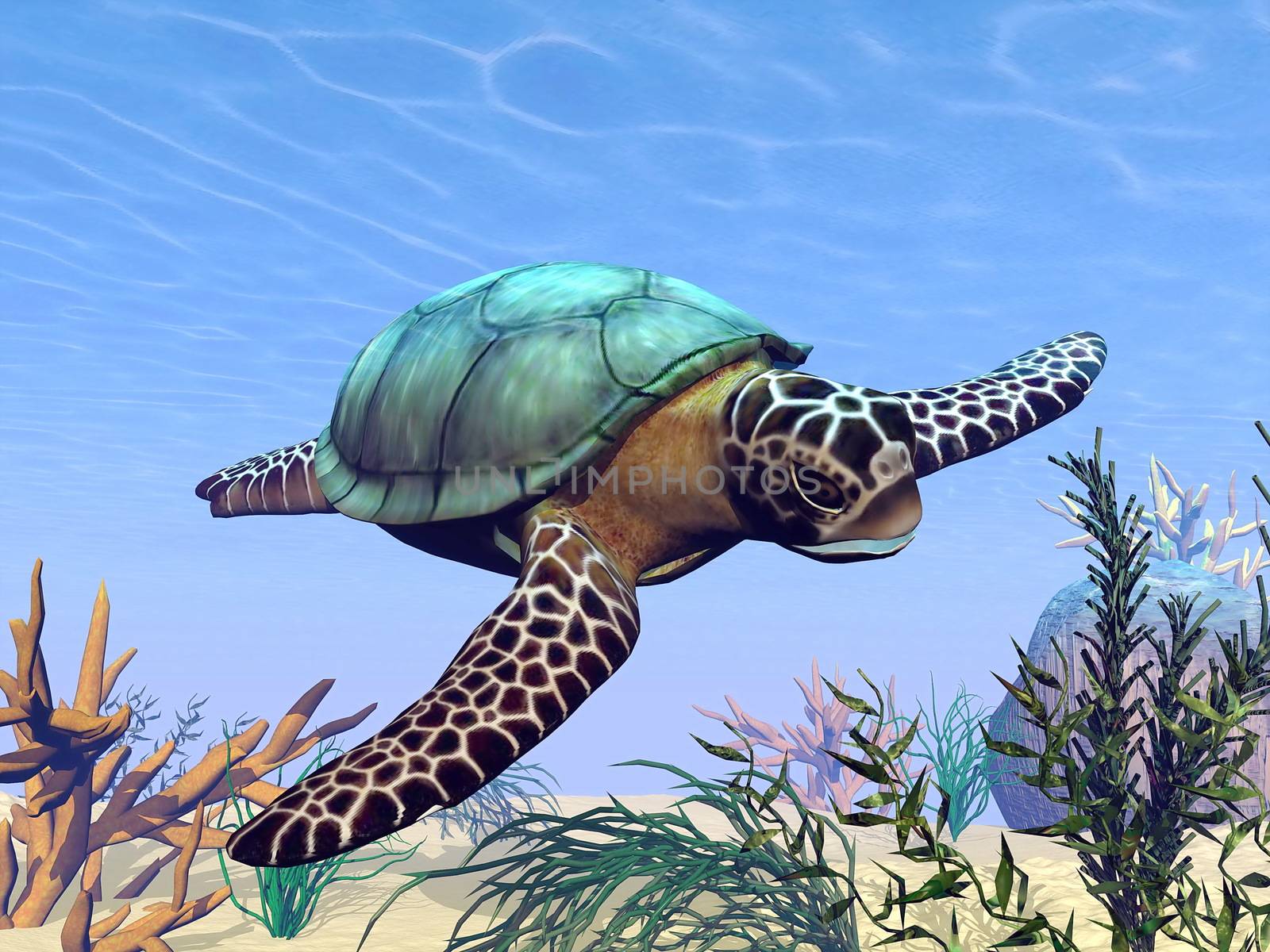 Beautiful sea turtle swimming in the sea among plants