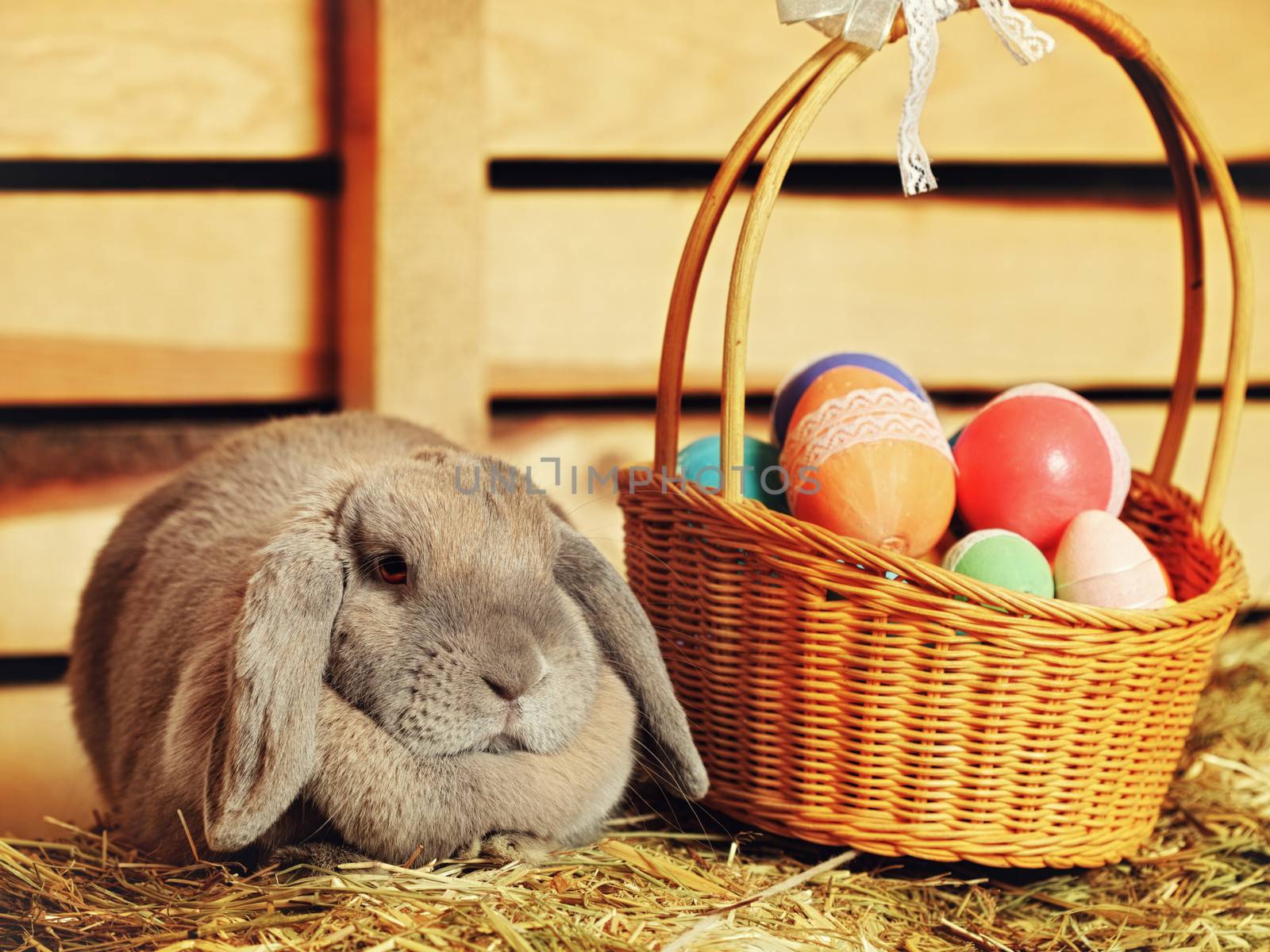 gray lop-earred rabbit and Easter basket on hayloft