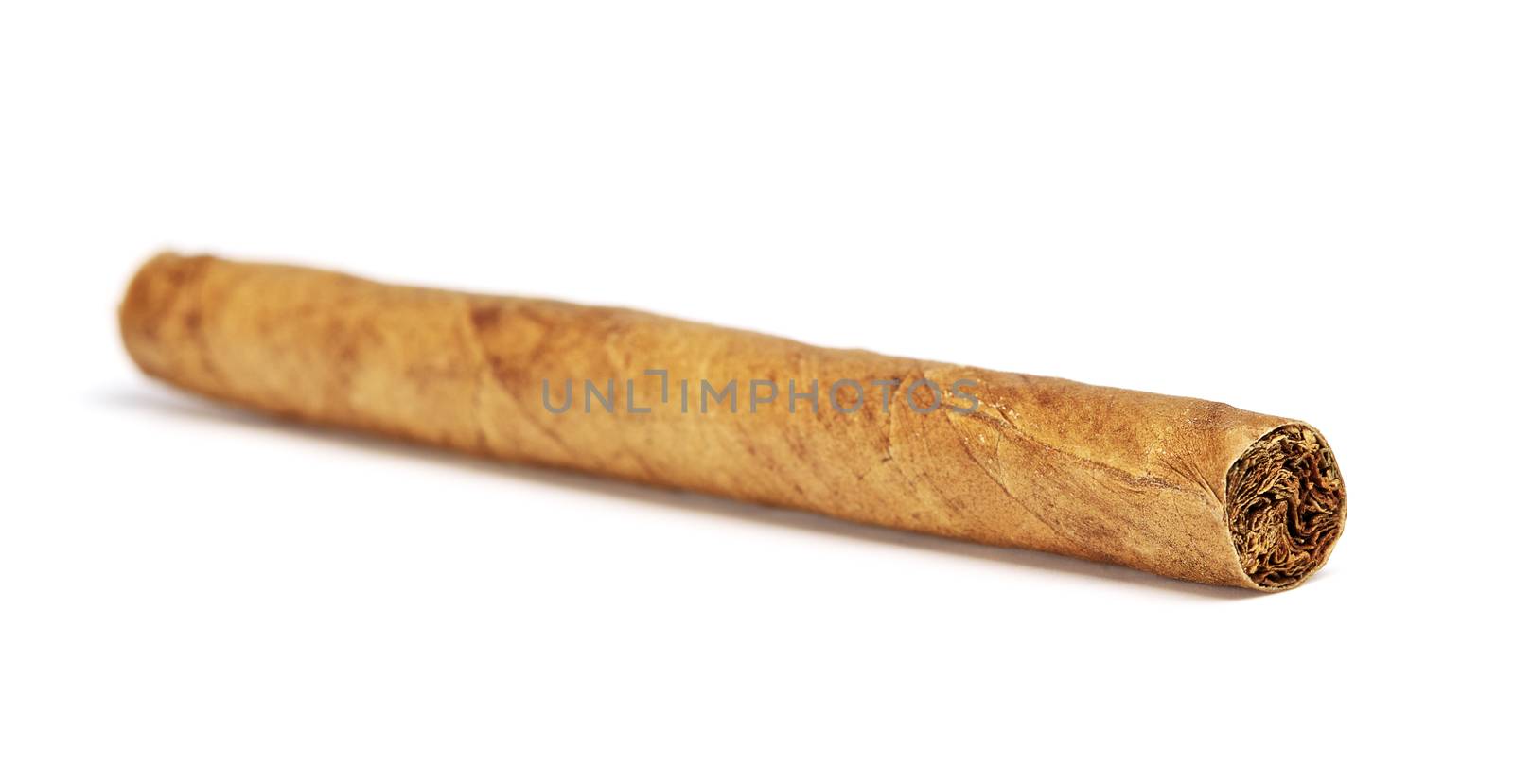 little cigar close up, isolated on white