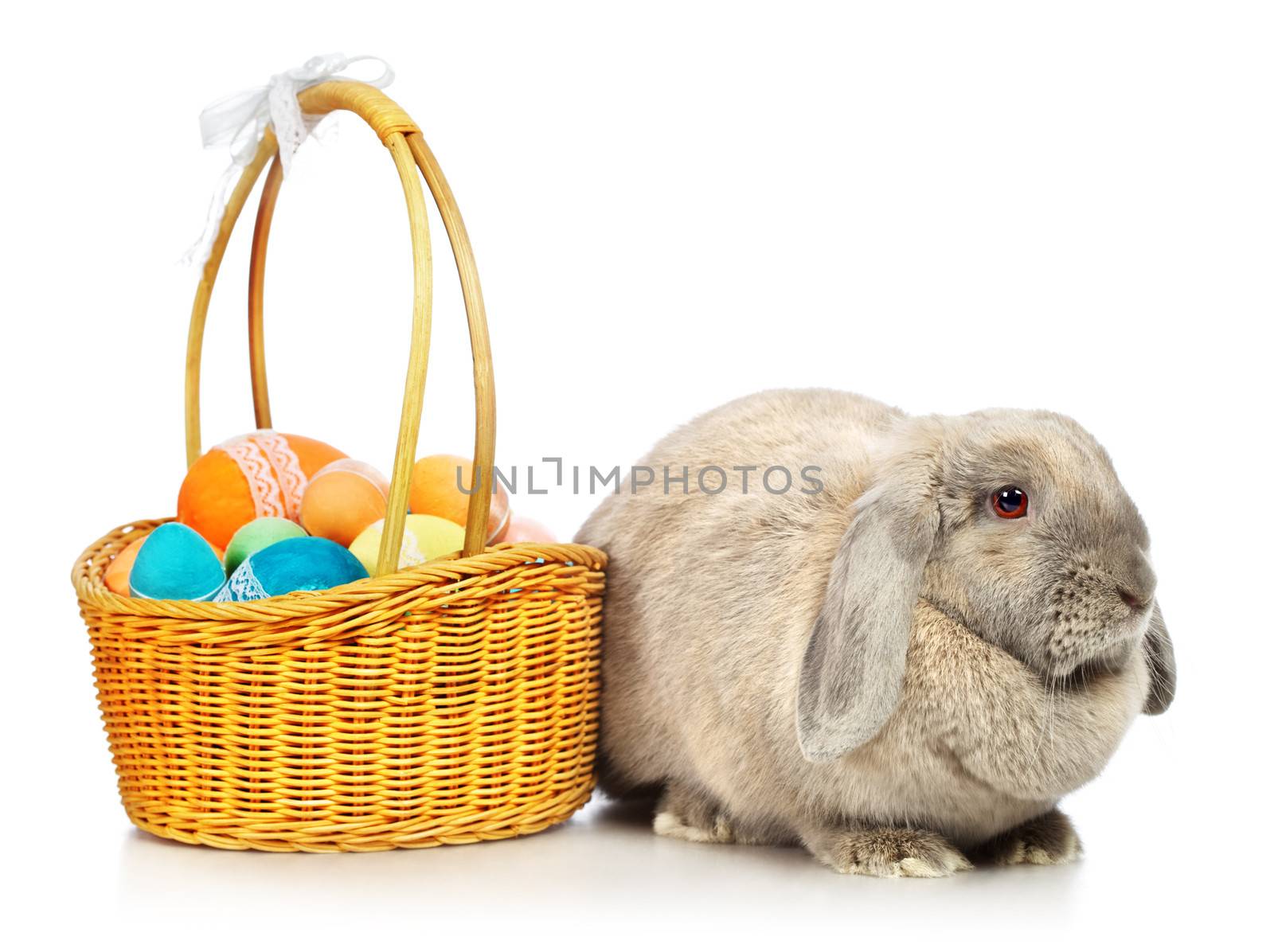 gray lop-earred rabbit and Easter basket, isolated on white
