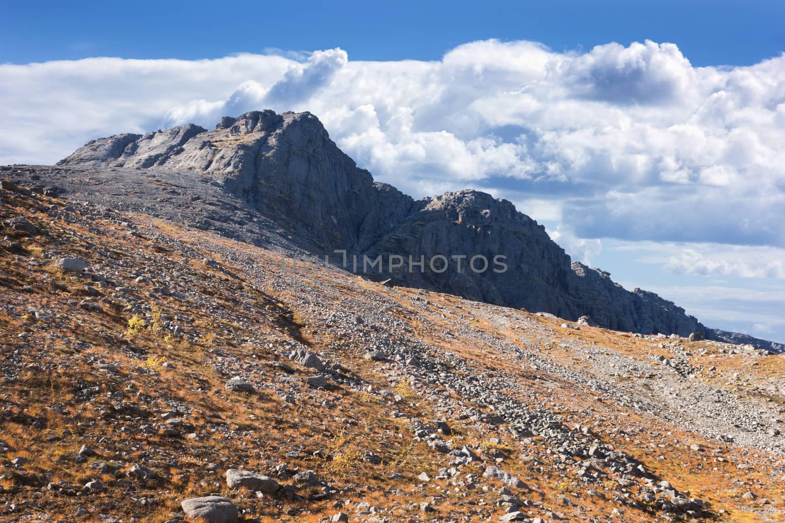Mountain plateau in the autumn. Khibiny mountains. North Of Russia