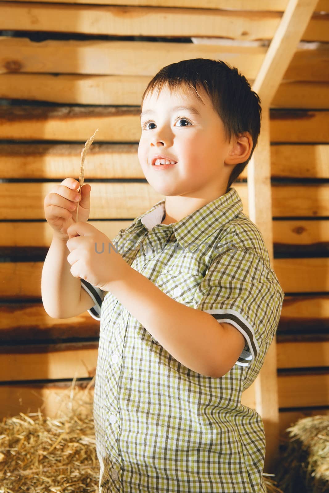 Boy on Hayloft by petr_malyshev