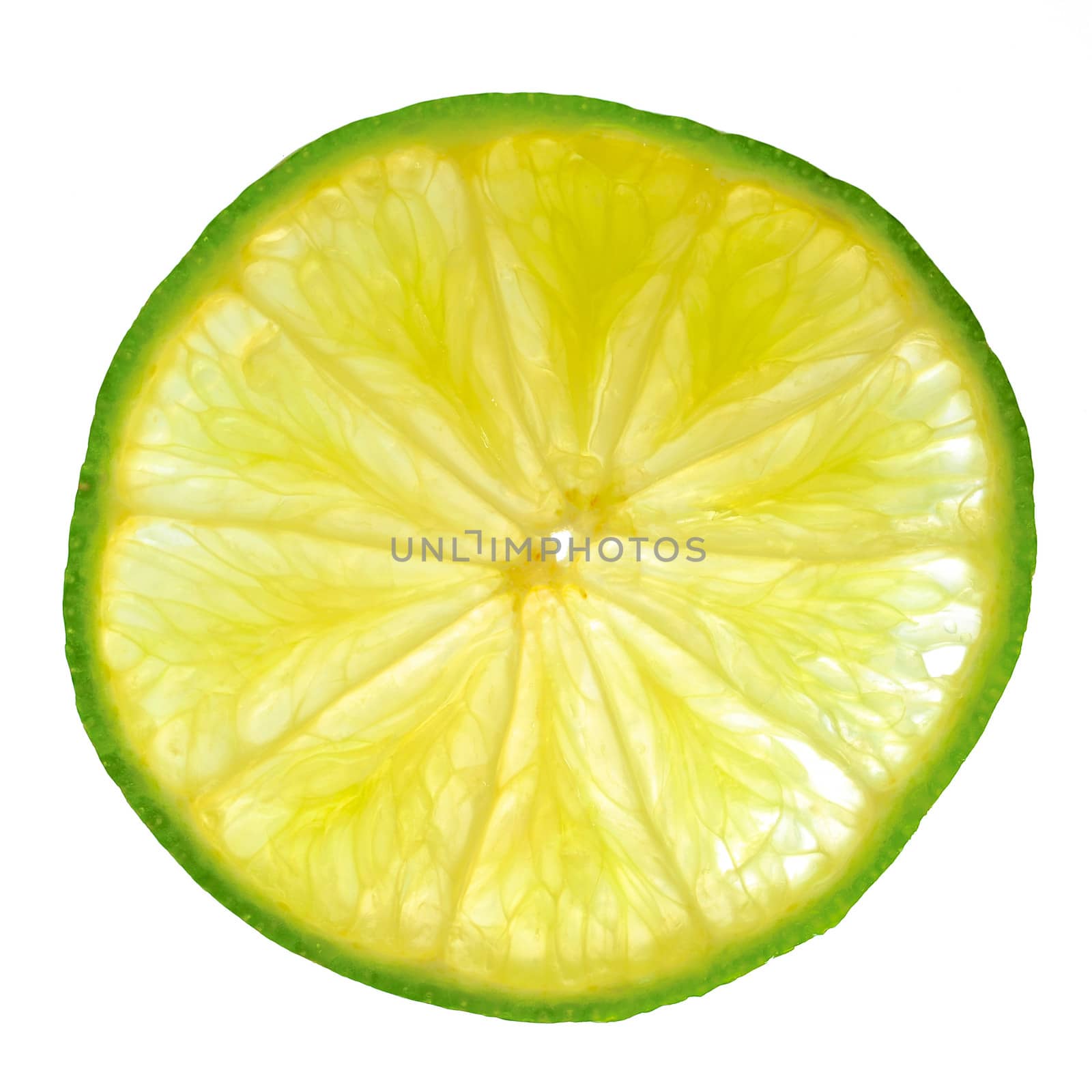 Lime slice by antpkr