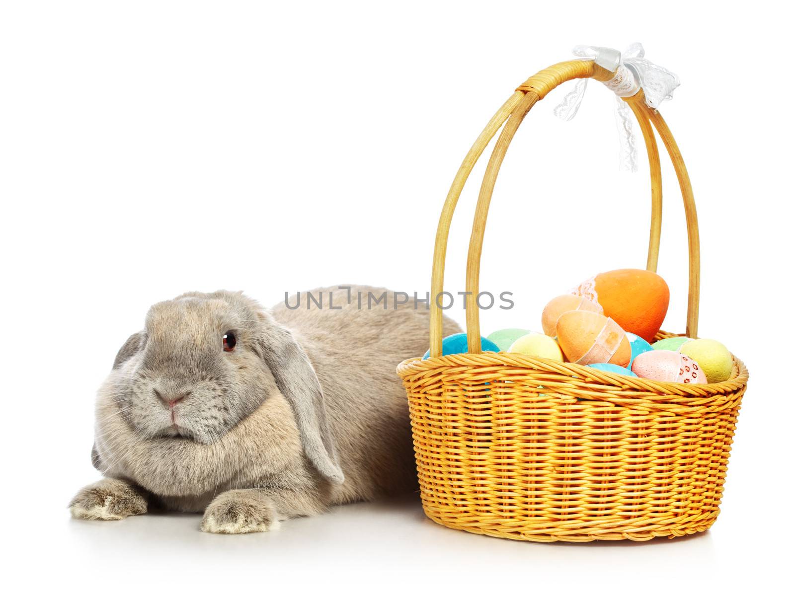 gray lop-earred rabbit and Easter basket, isolated on white