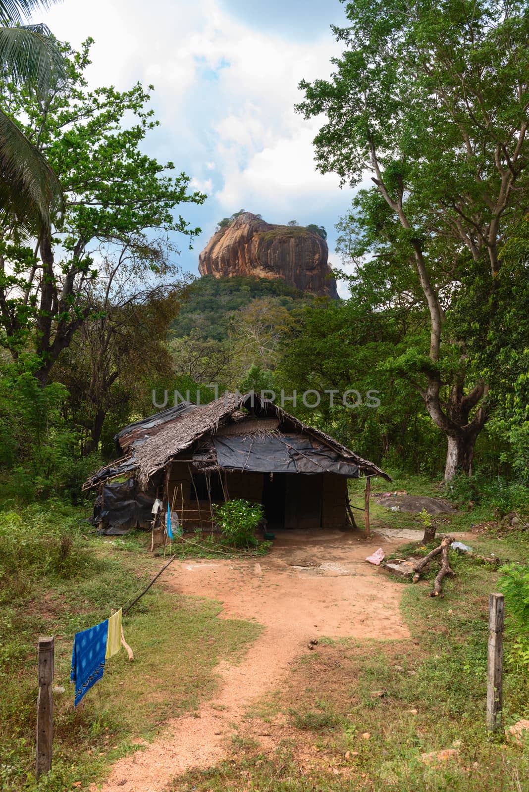 Shack in front of high rock under green forest. Sigiriya, Lion's rock with ancient rock fortress castle. Sri Lanka 