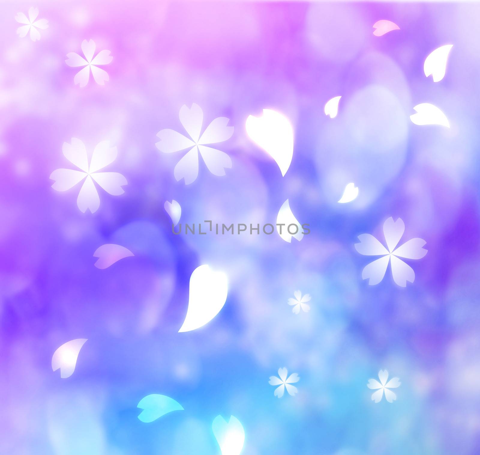 Flower petal purple, blue, pink lights background