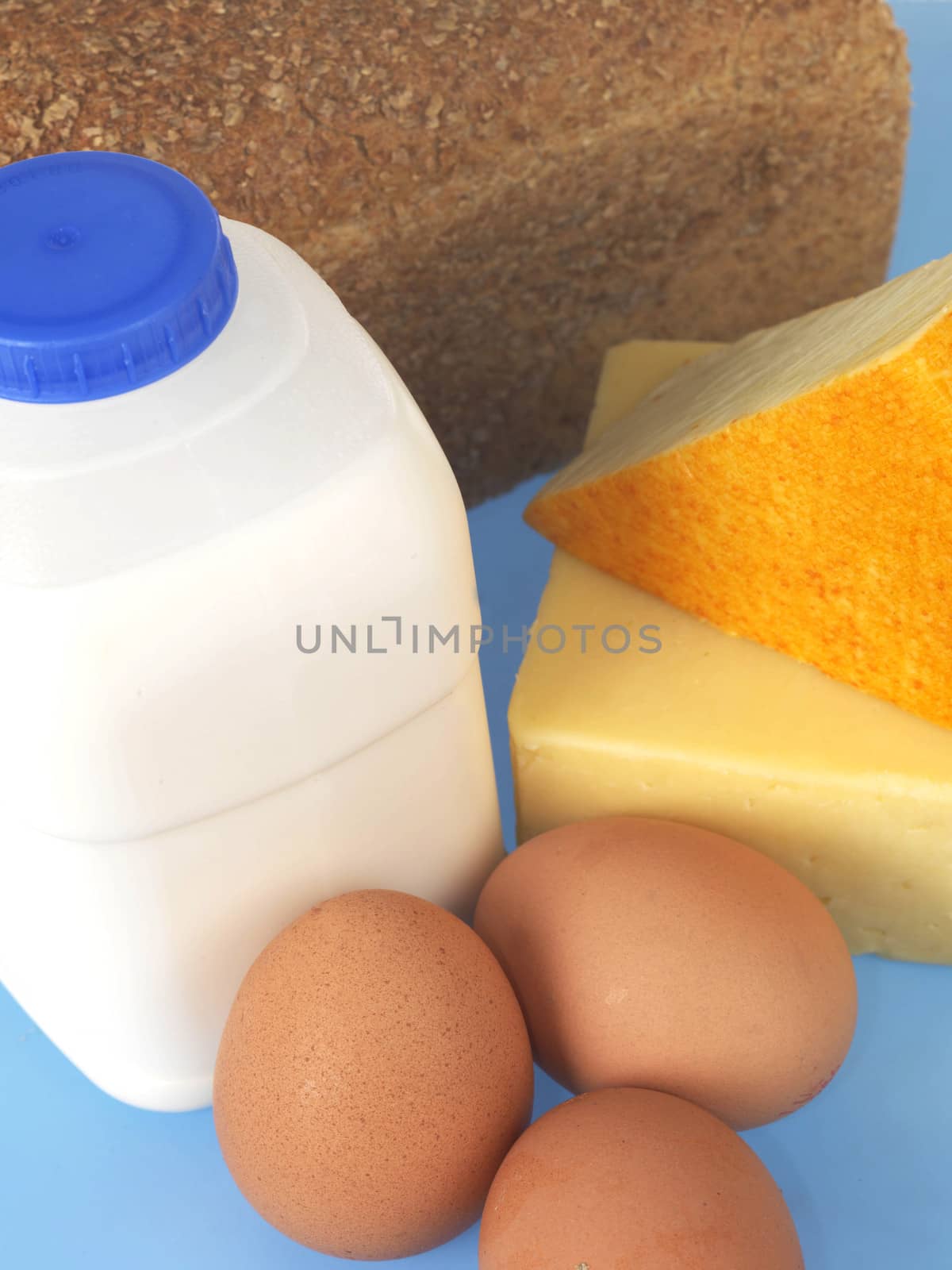 Milk Cheese Eggs and Bread Protein Foods Isolated White Background