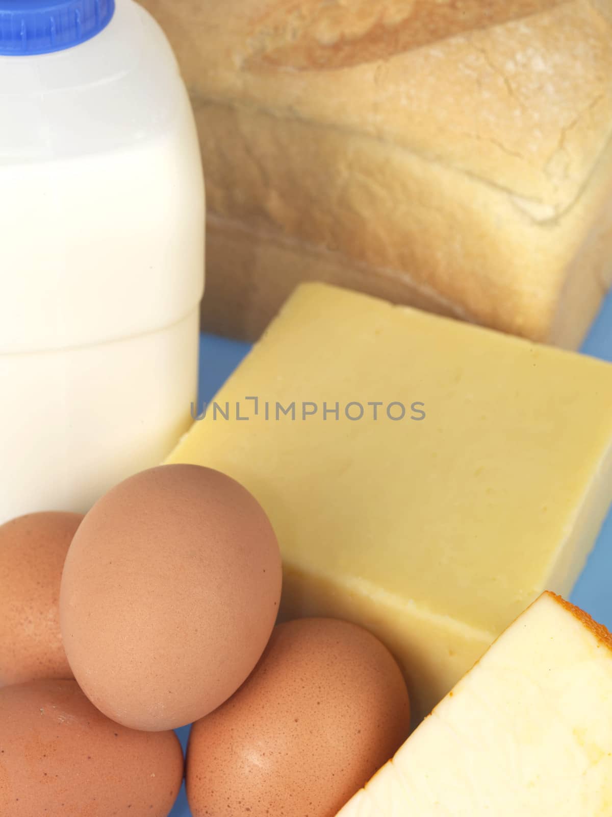 Milk Cheese Eggs and Bread Protein Foods Isolated White Background