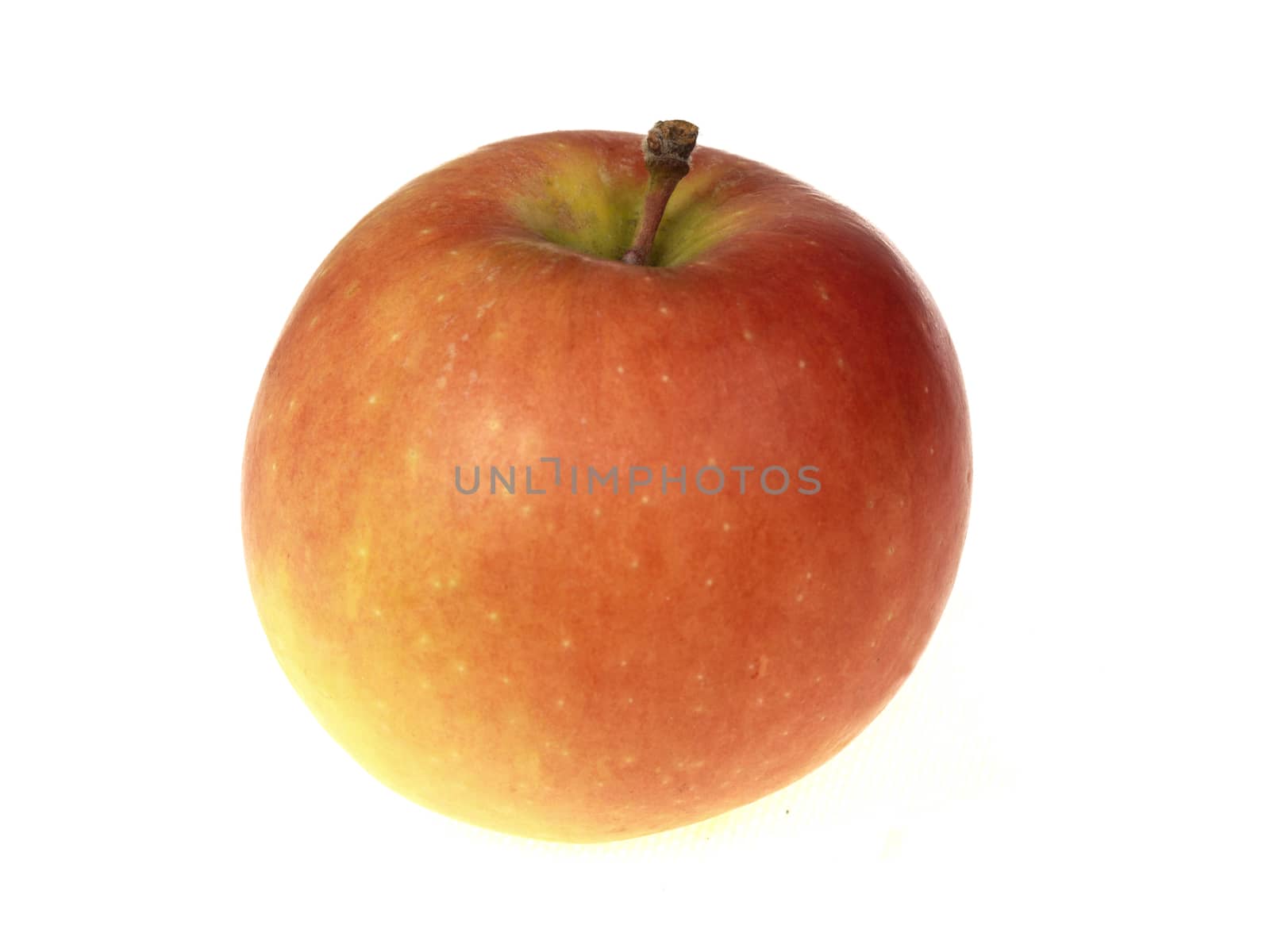 Fresh Ripe Juicy Single Kanzi Apples Isolated White Background
