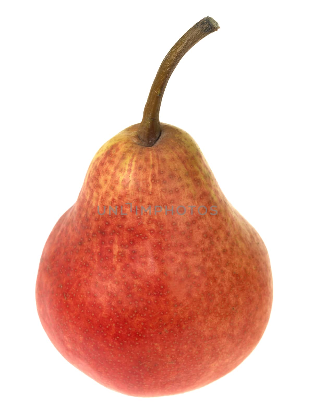 Red William Pear by Whiteboxmedia
