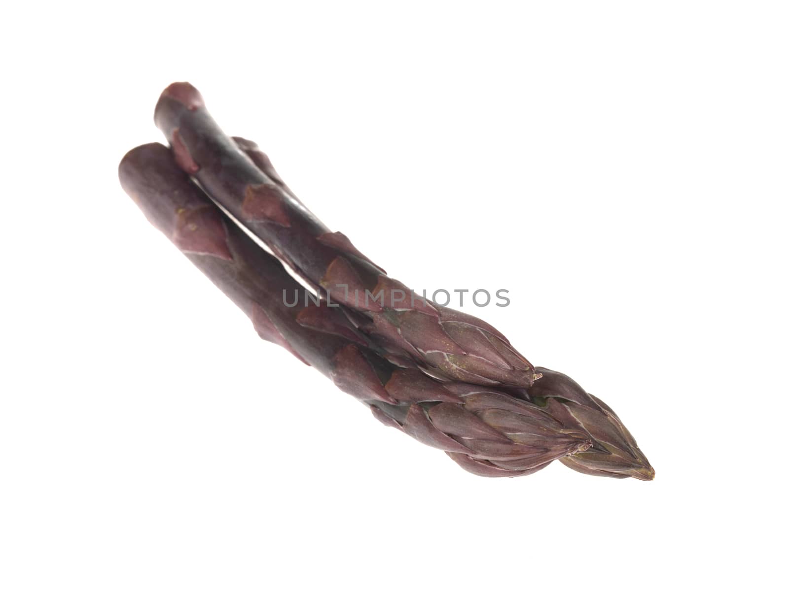 Purple Asparagus by Whiteboxmedia
