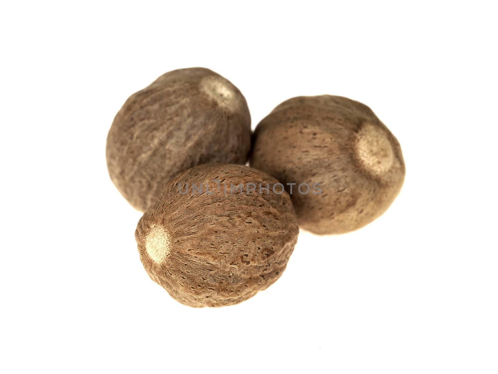 Whole Nutmeg by Whiteboxmedia