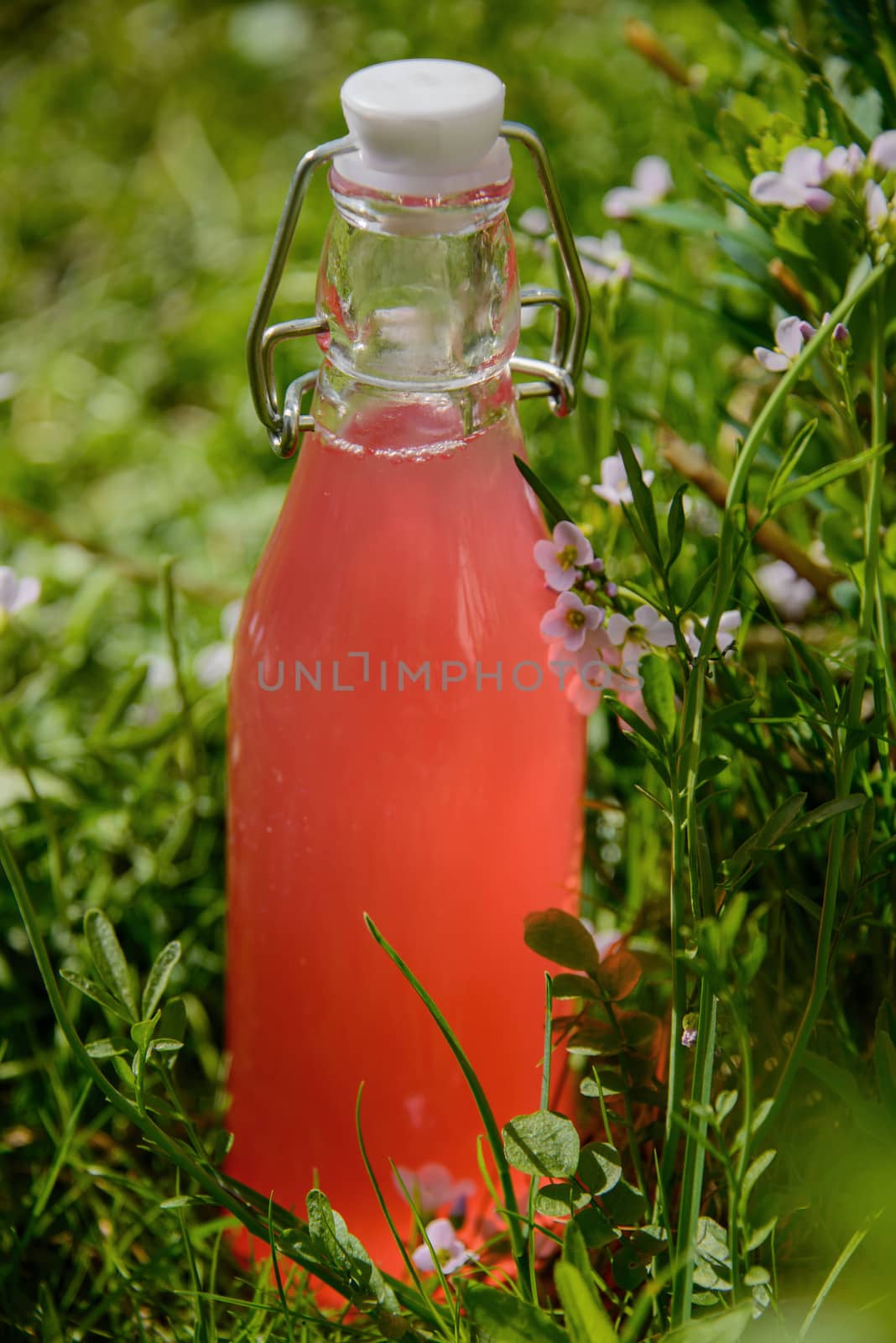 A bottle with rhubarb juice