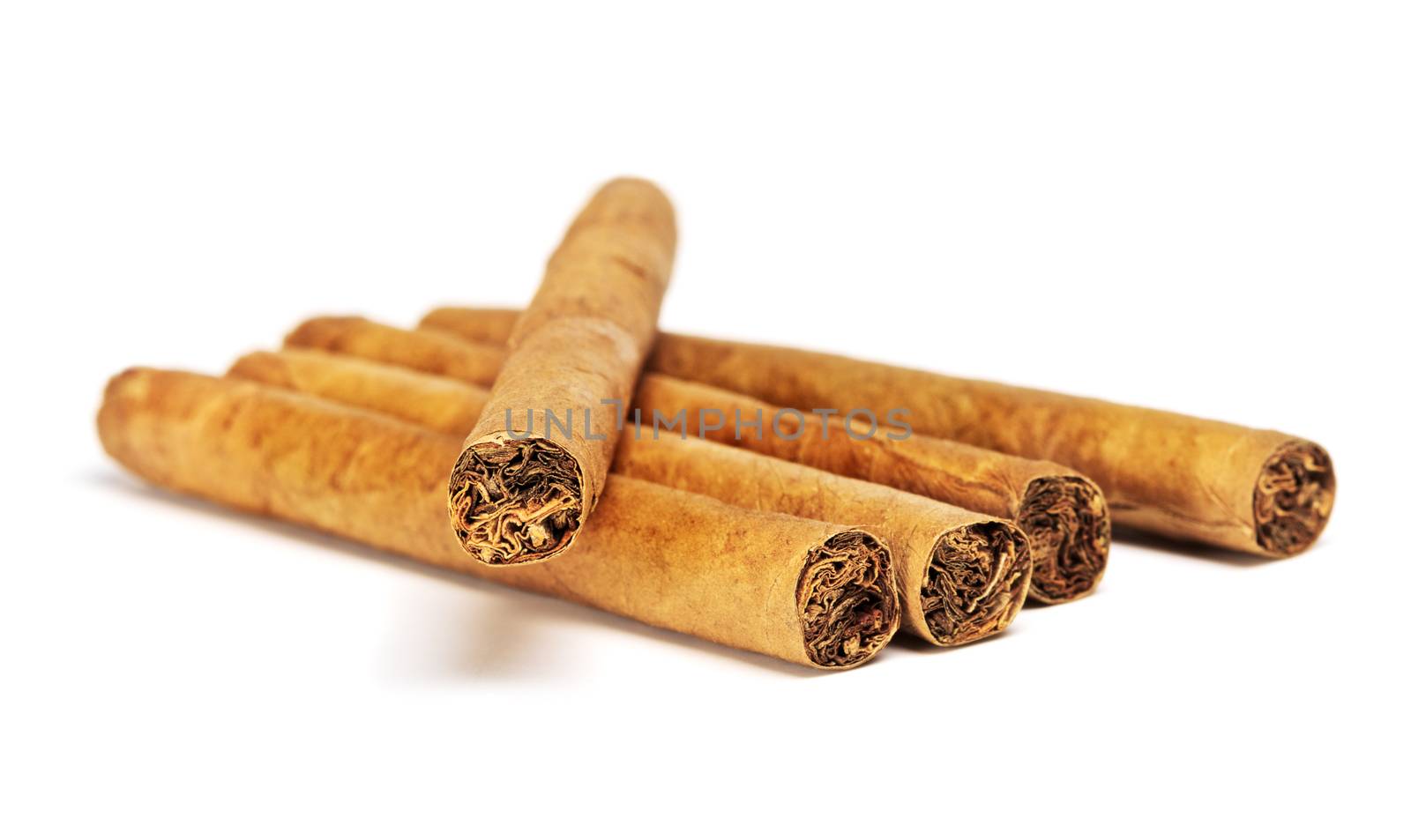 little cigars close up, isolated on white