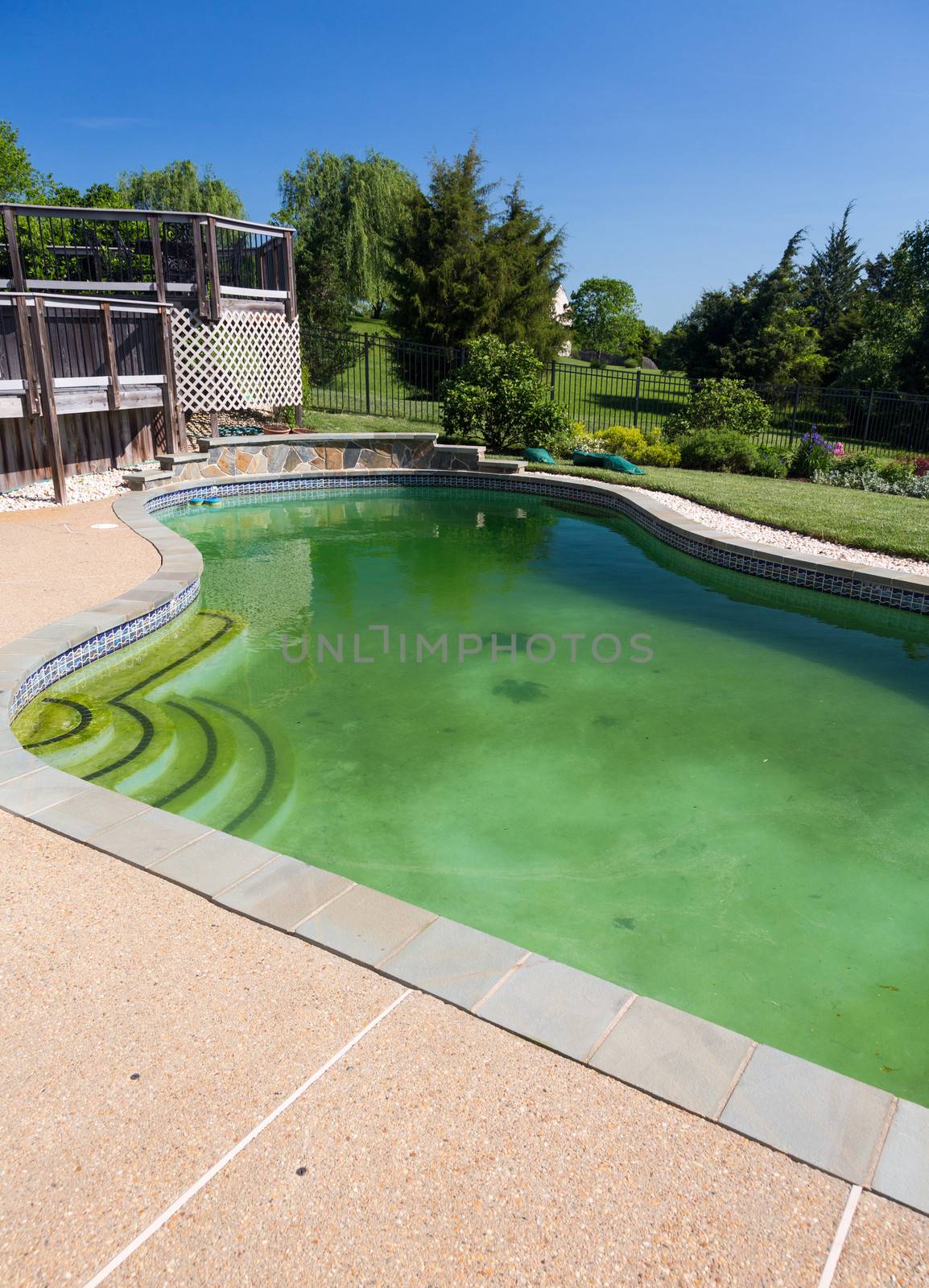 Back yard swimming pool behind modern single family home at pool opening with green stagnant algae filled water before cleaning