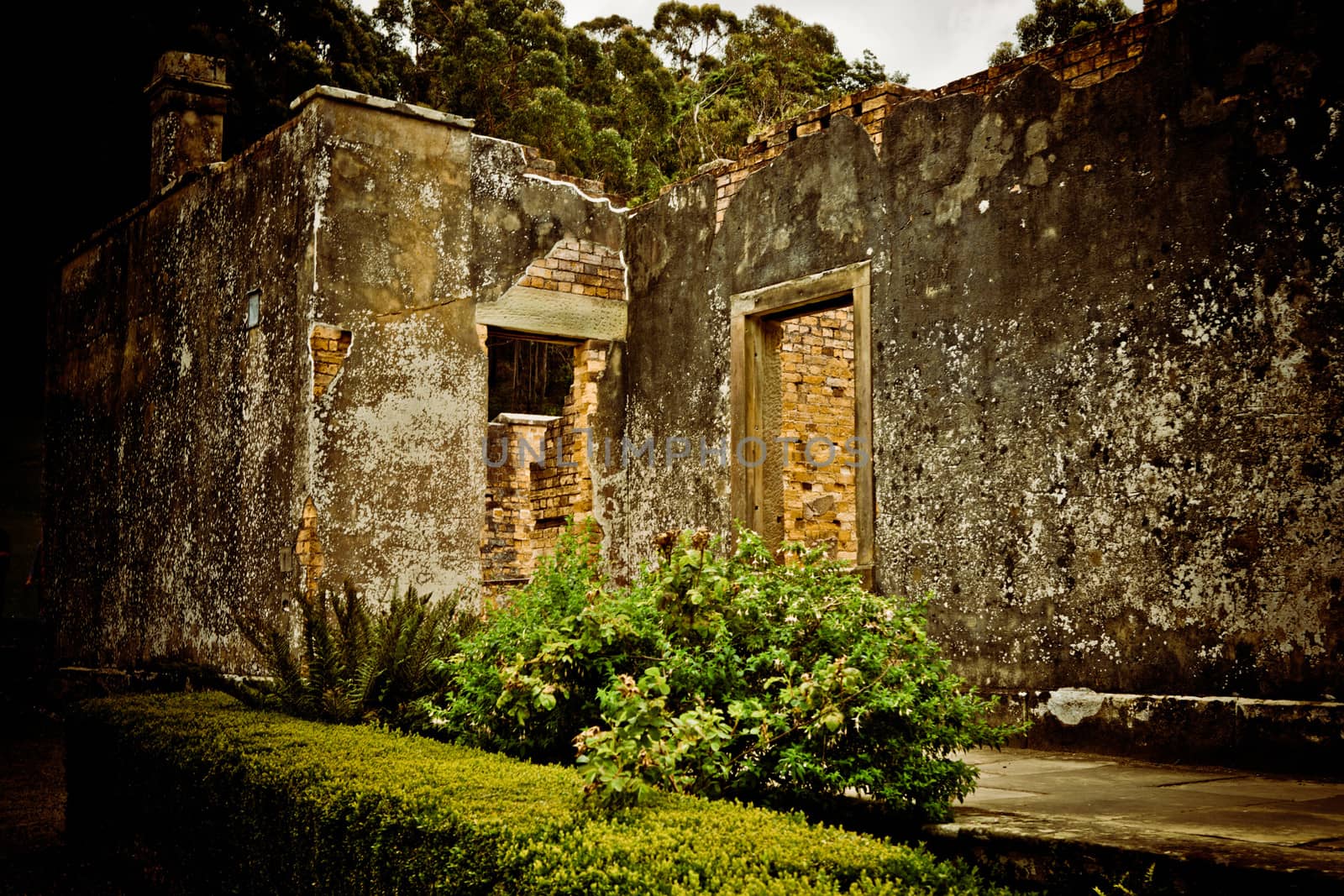 Facade of an old ruin surrounded by green vegetation