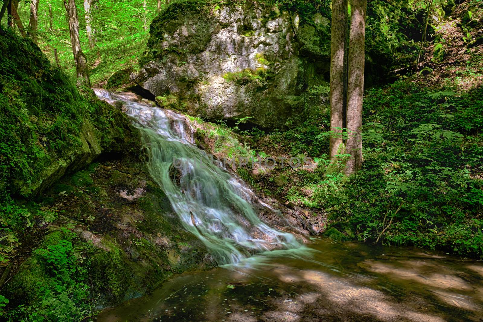 The river runs over cascades in the primeval forest - HDR