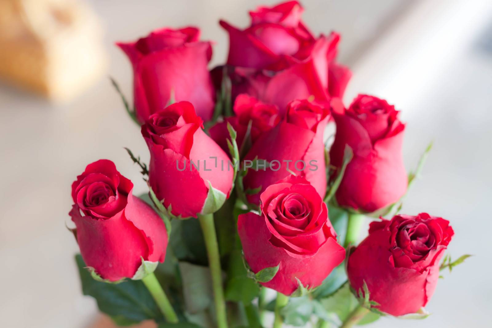 Beautiful bouquet of bright red flowers