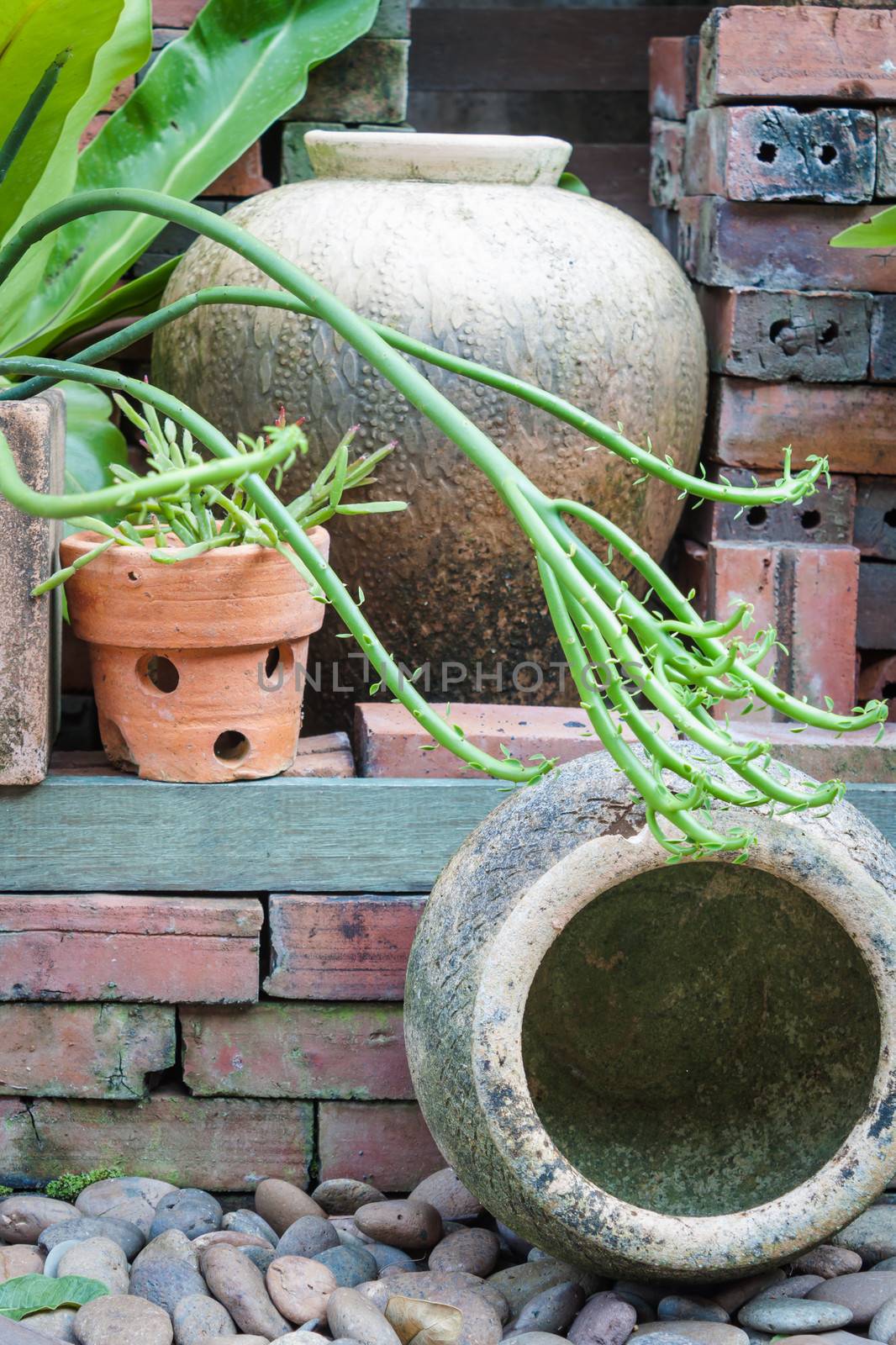 Apart of garden decorated with earthen jar by punsayaporn