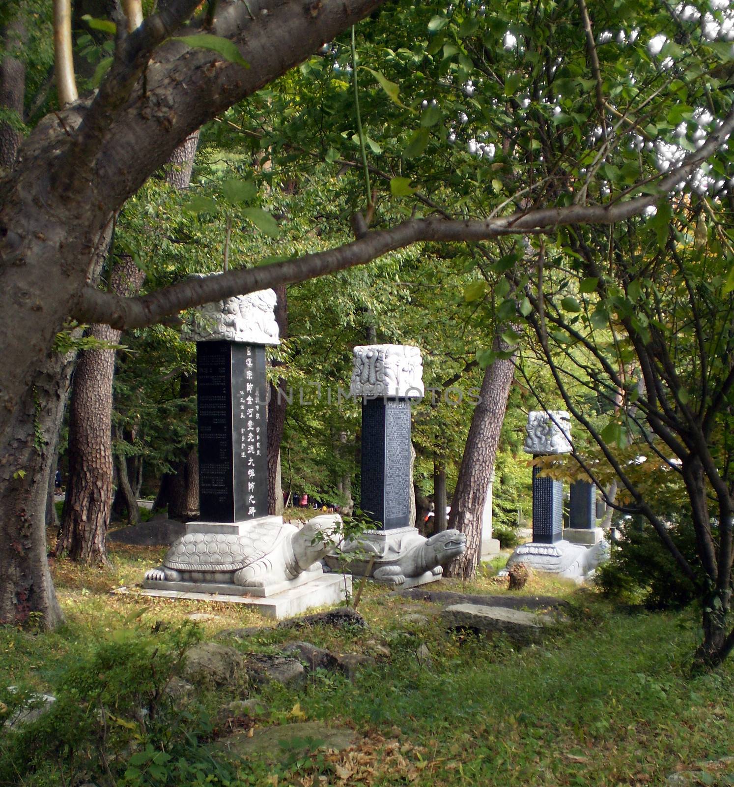 Tortoise statues at Beomeosa Buddhist temple above Busan, South Korea