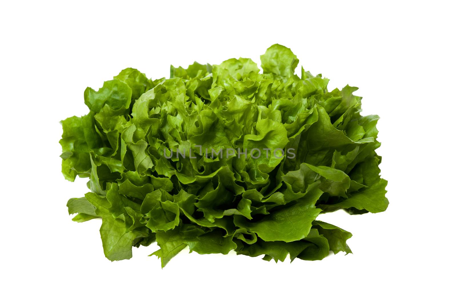 Fresh green lettuce isolated on white background